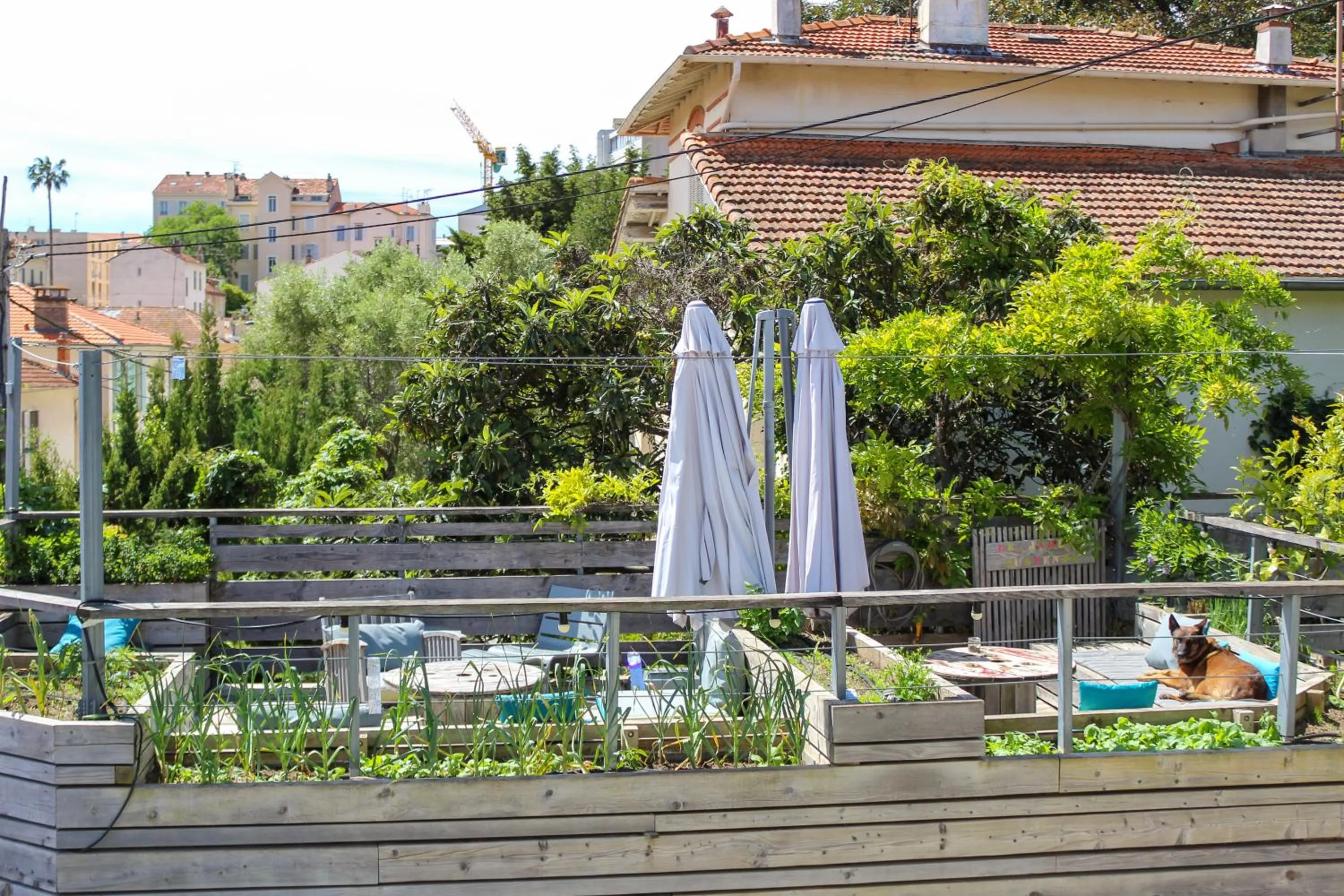 Patio in B&B Villa Du Roc Fleuri