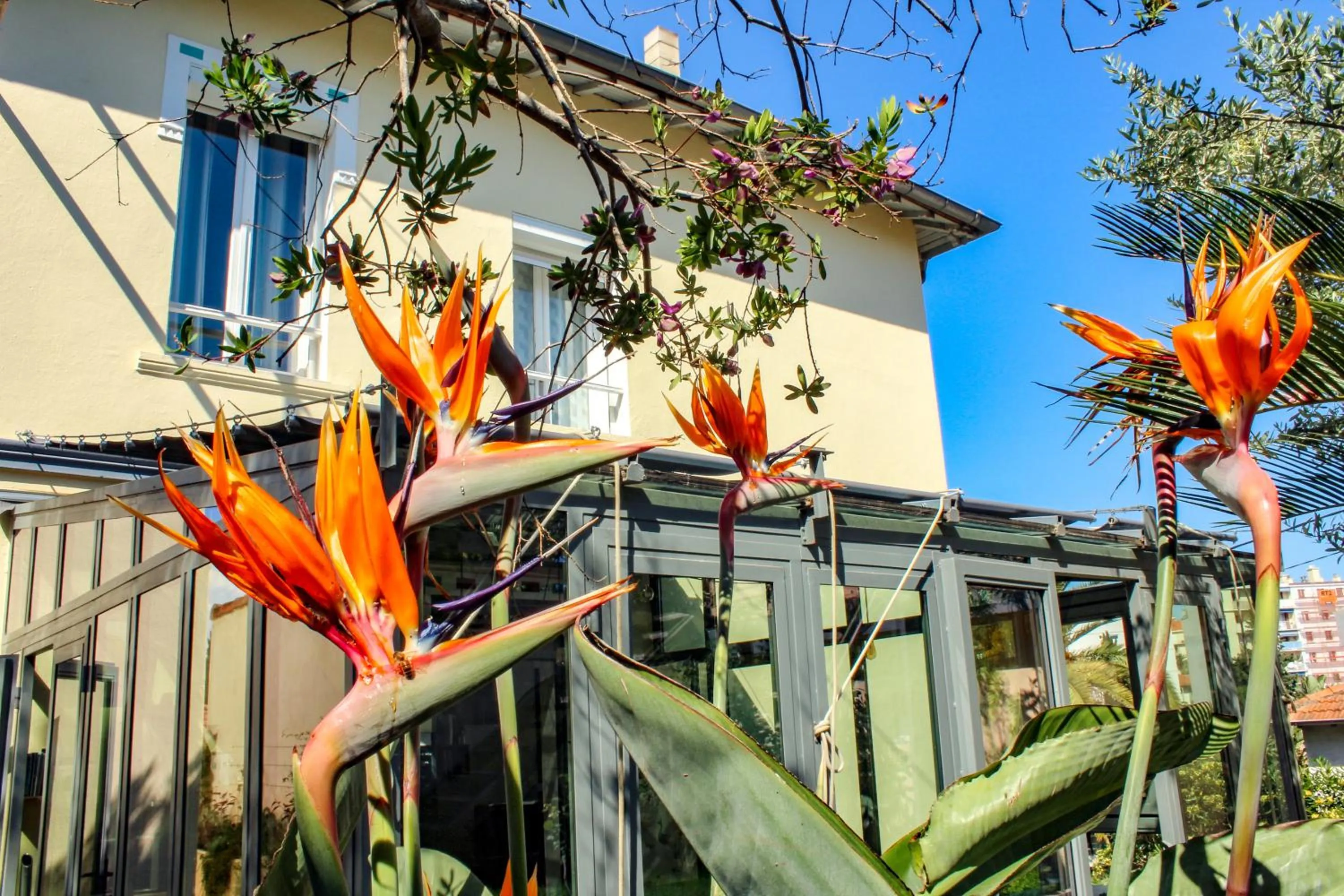 Facade/entrance in B&B Villa Du Roc Fleuri