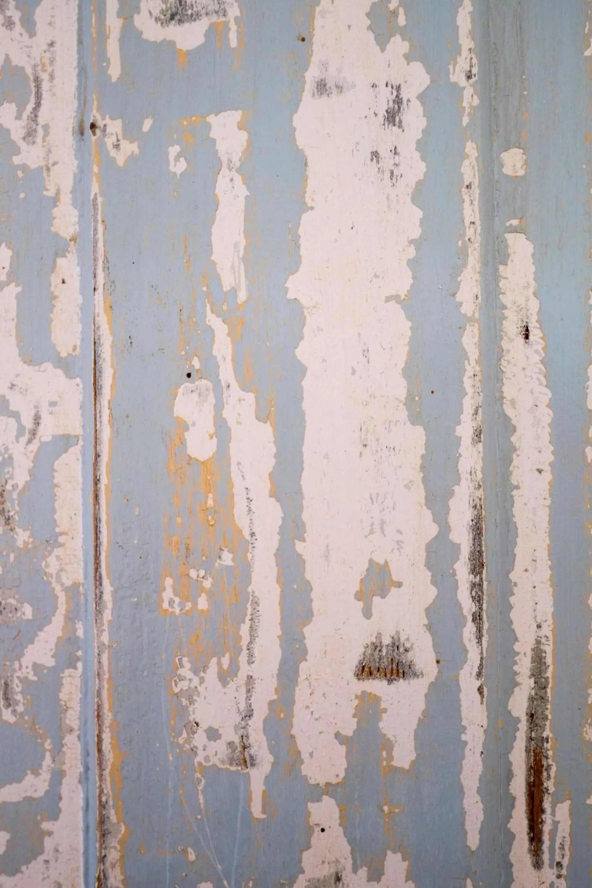 Decorative detail in Pigal