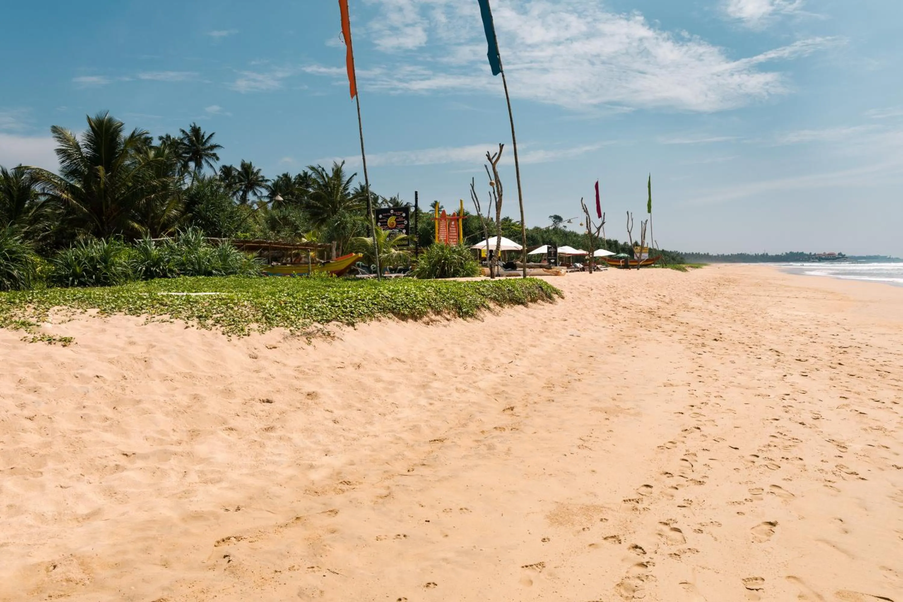 Natural landscape, Beach in Amal Beach Hotel