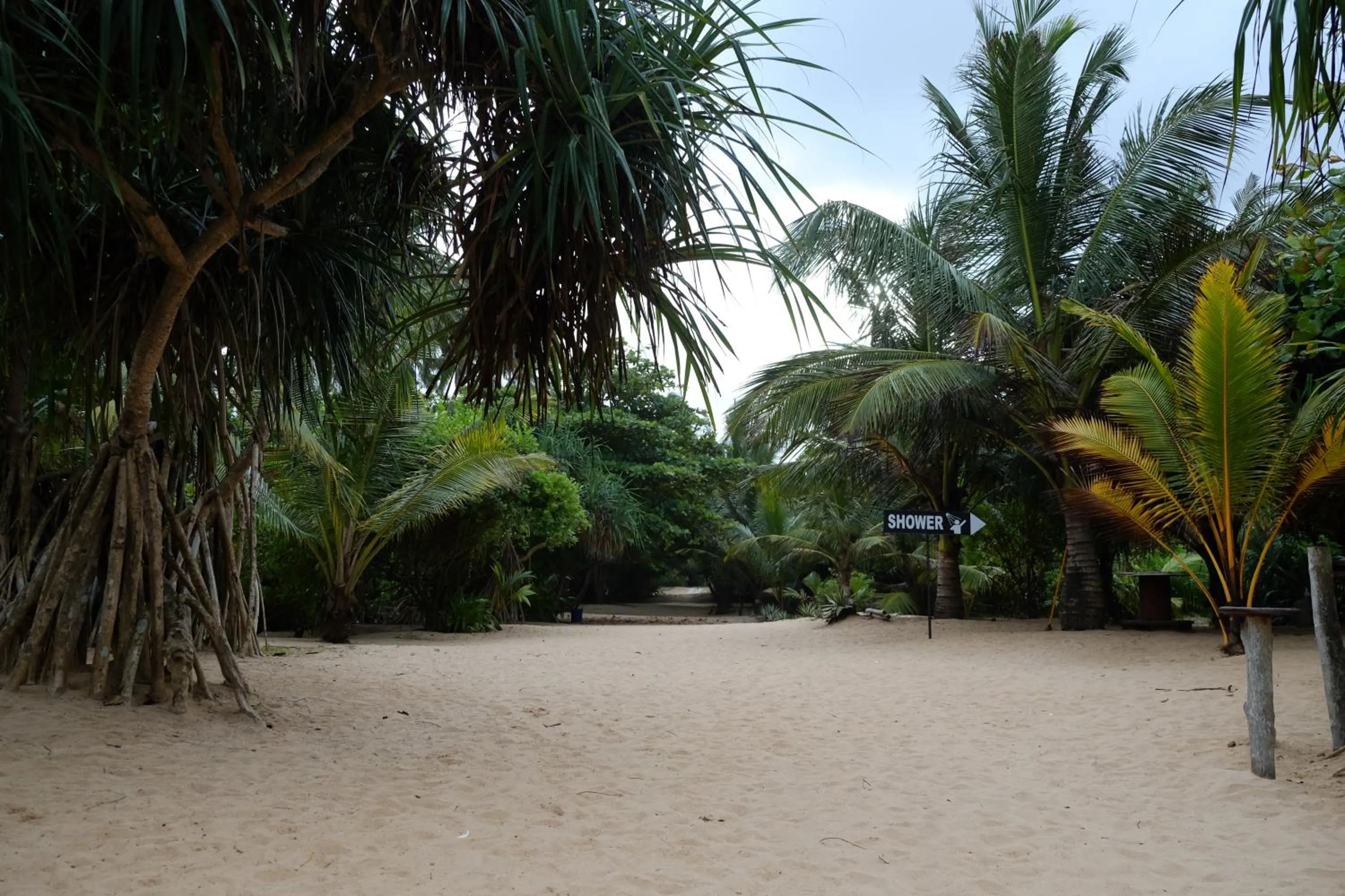 Garden, Beach in Amal Beach Hotel