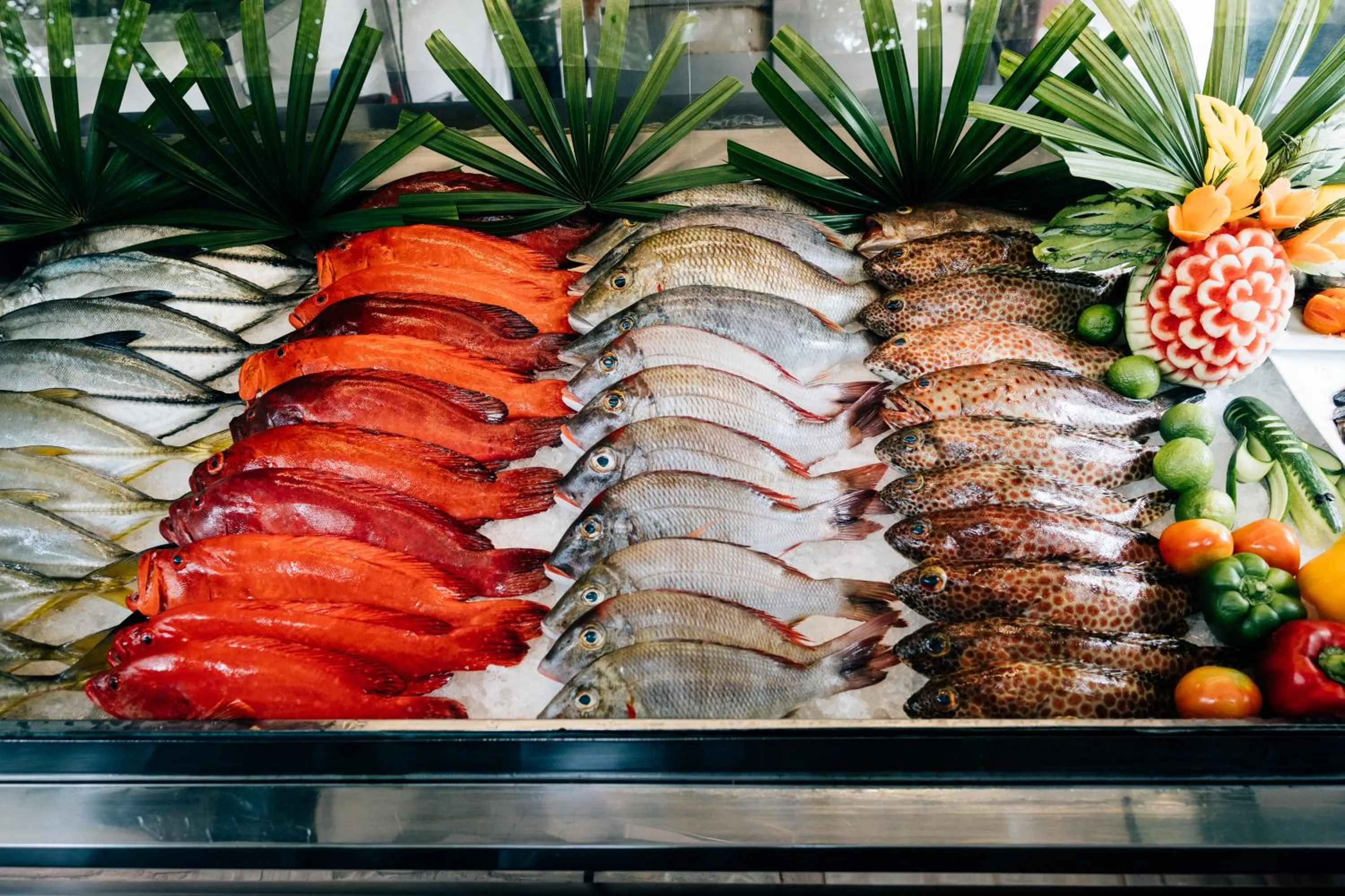 Food in Amal Beach Hotel