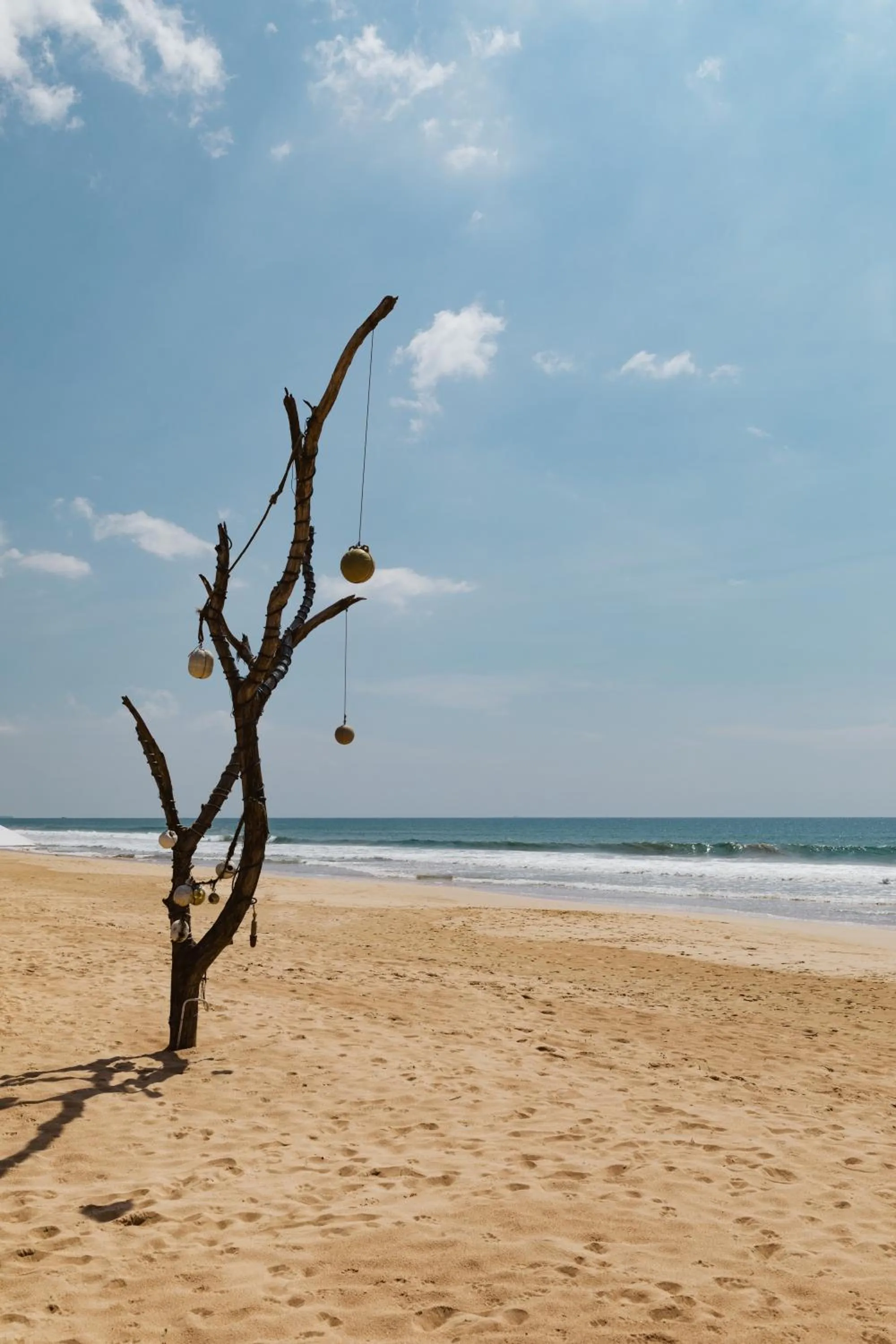 Natural landscape, Beach in Amal Beach Hotel
