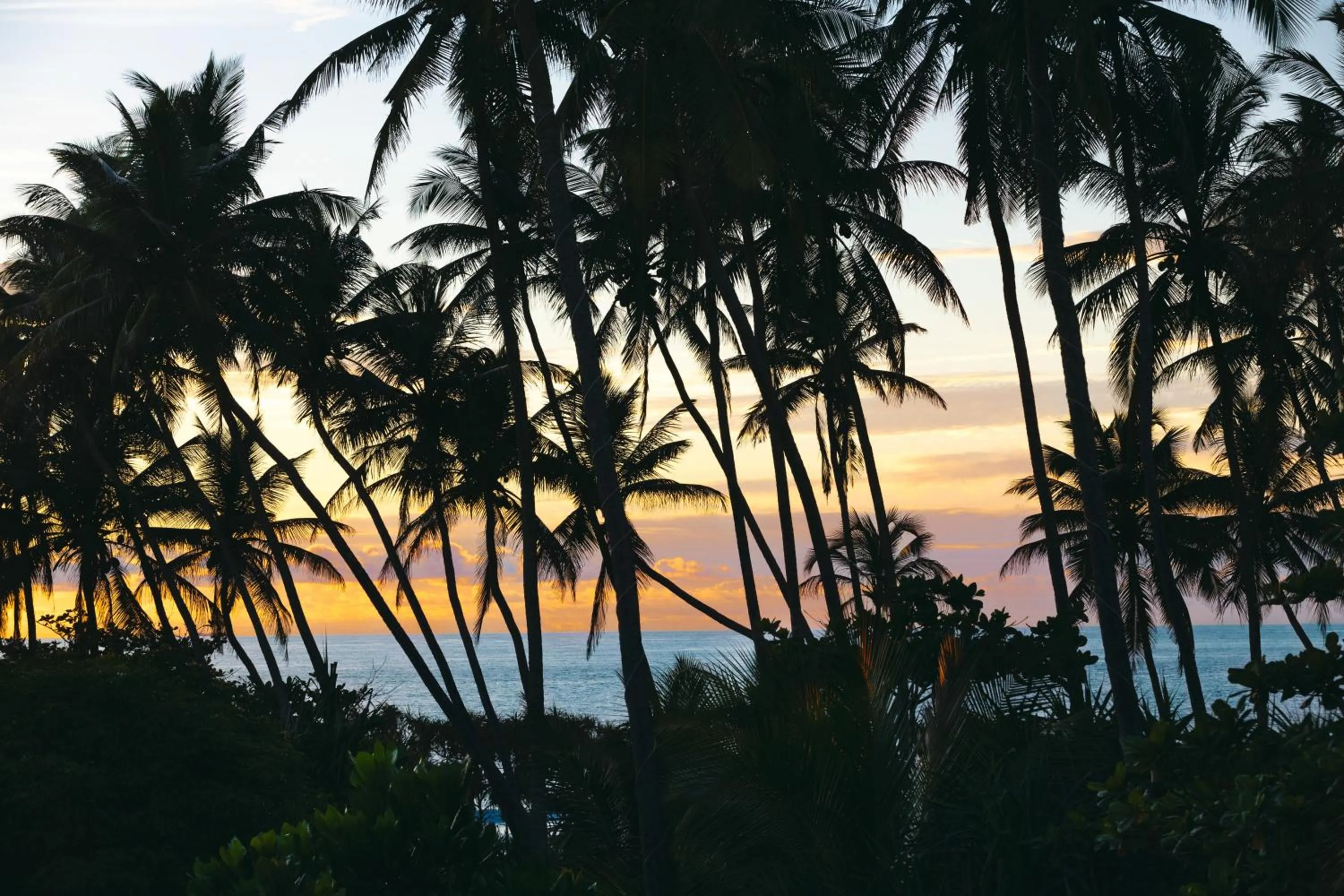 Natural landscape, Sunrise/Sunset in Amal Beach Hotel