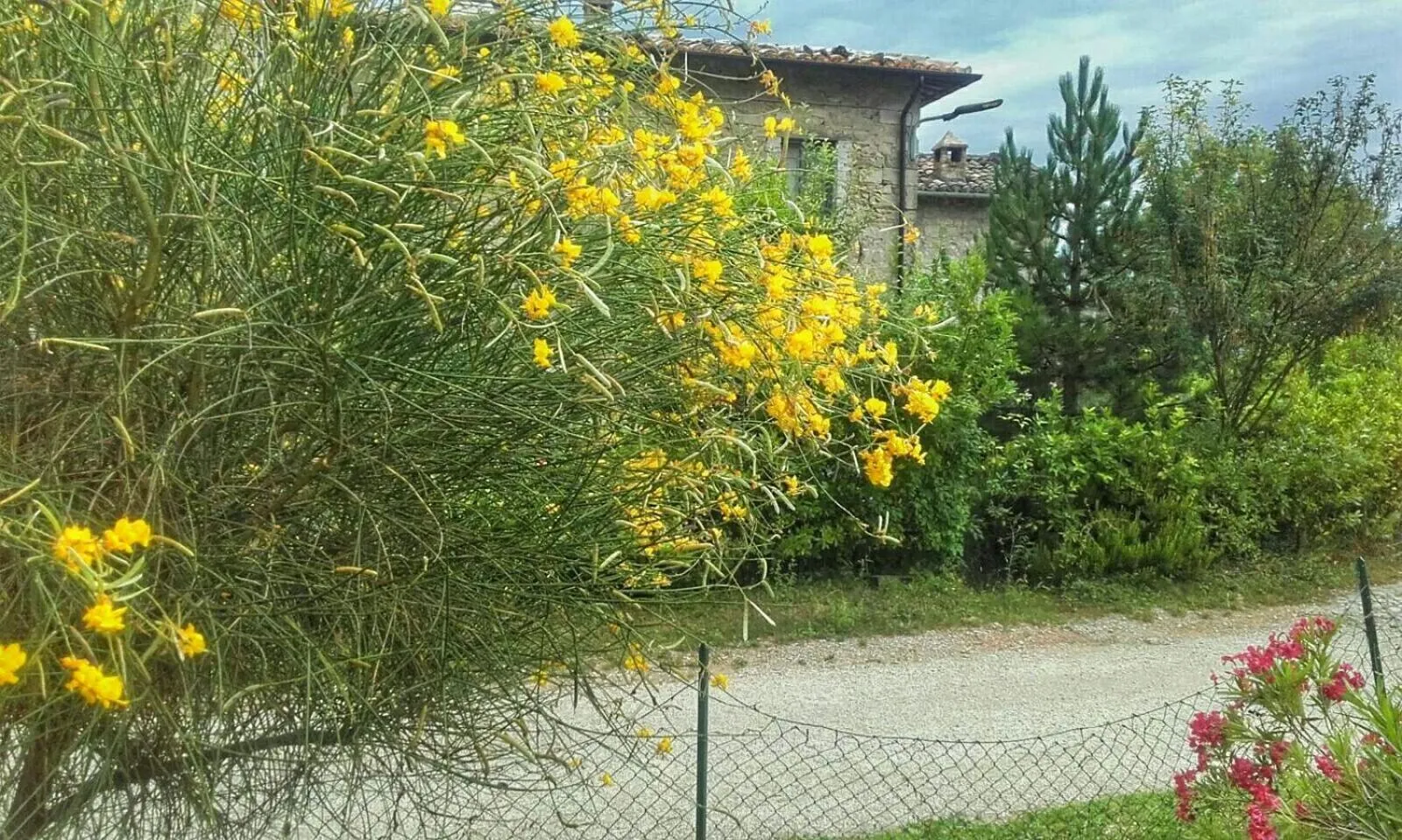 B&B Casale Giovannozzi