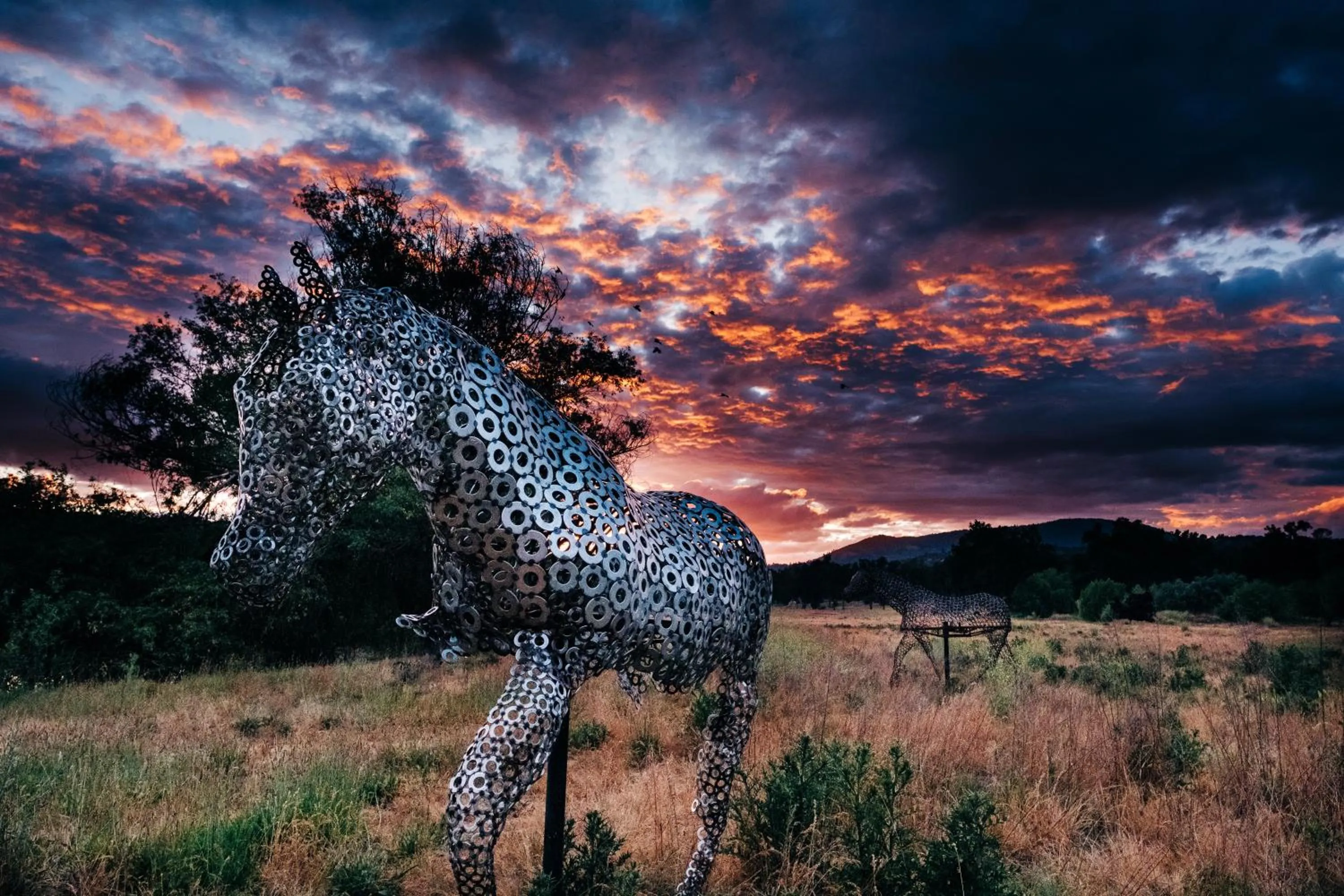 Mountain view in Sierra Meadows