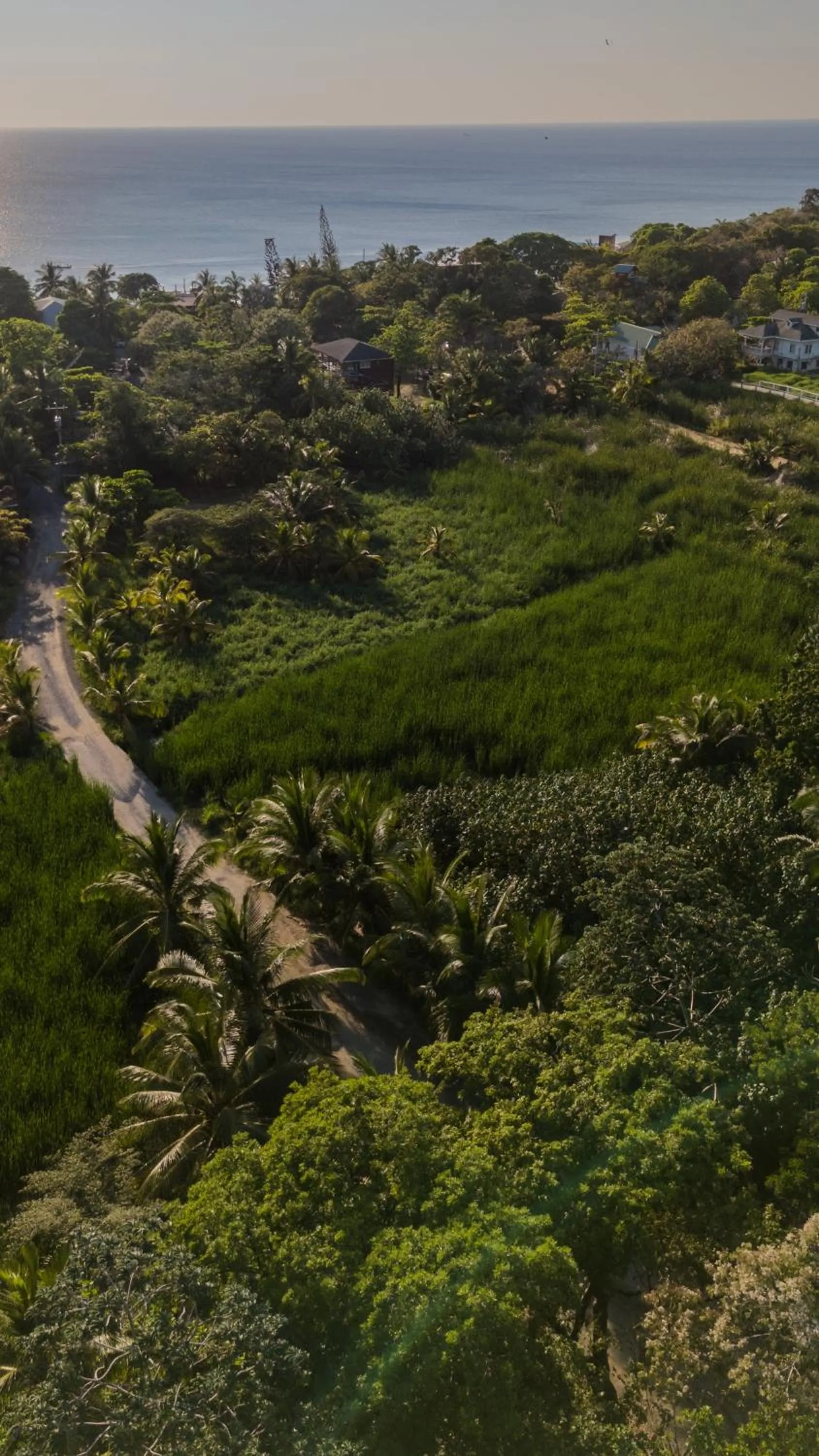 Neighbourhood in Seaside Inn Roatan