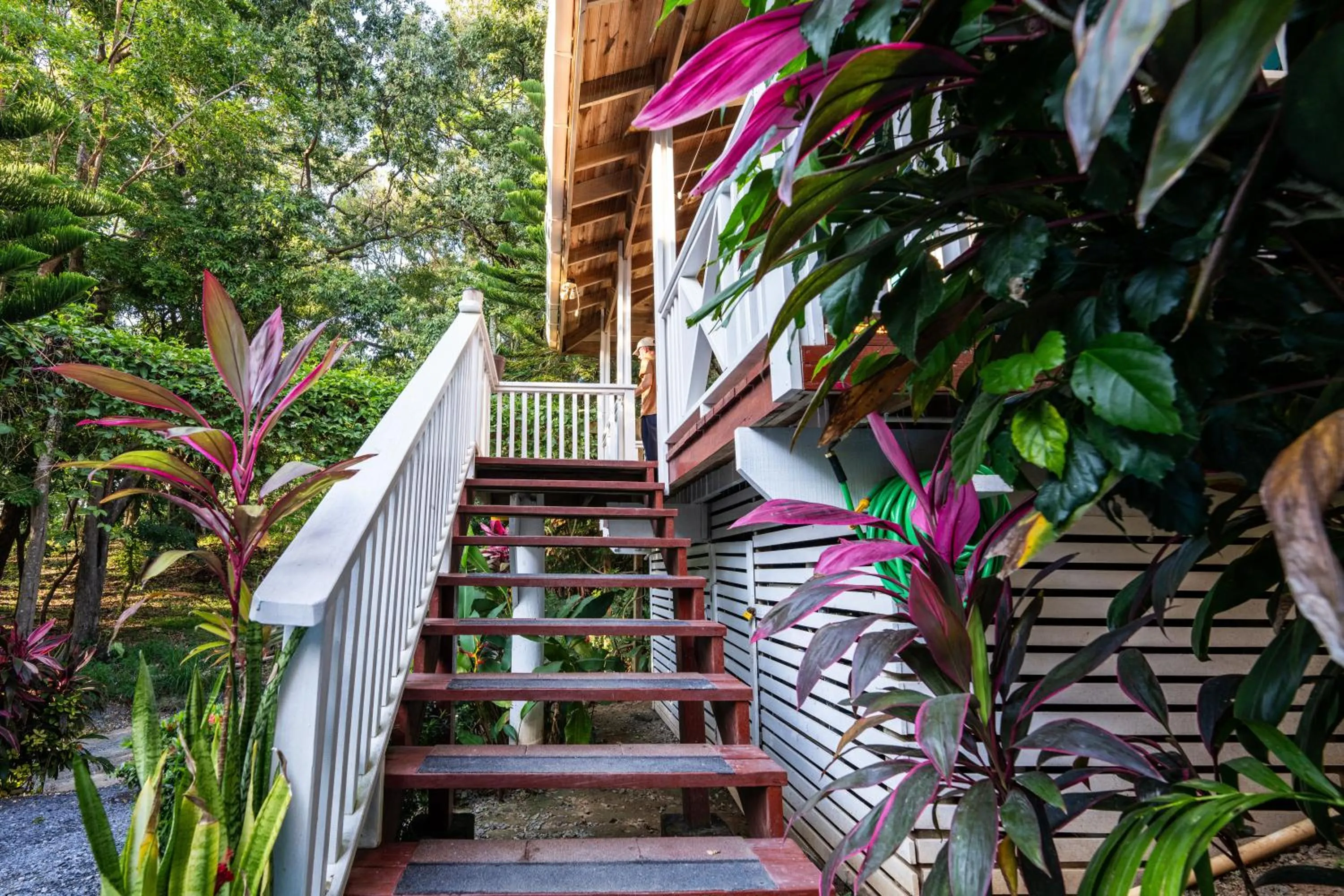 Facade/entrance in Seaside Inn Roatan
