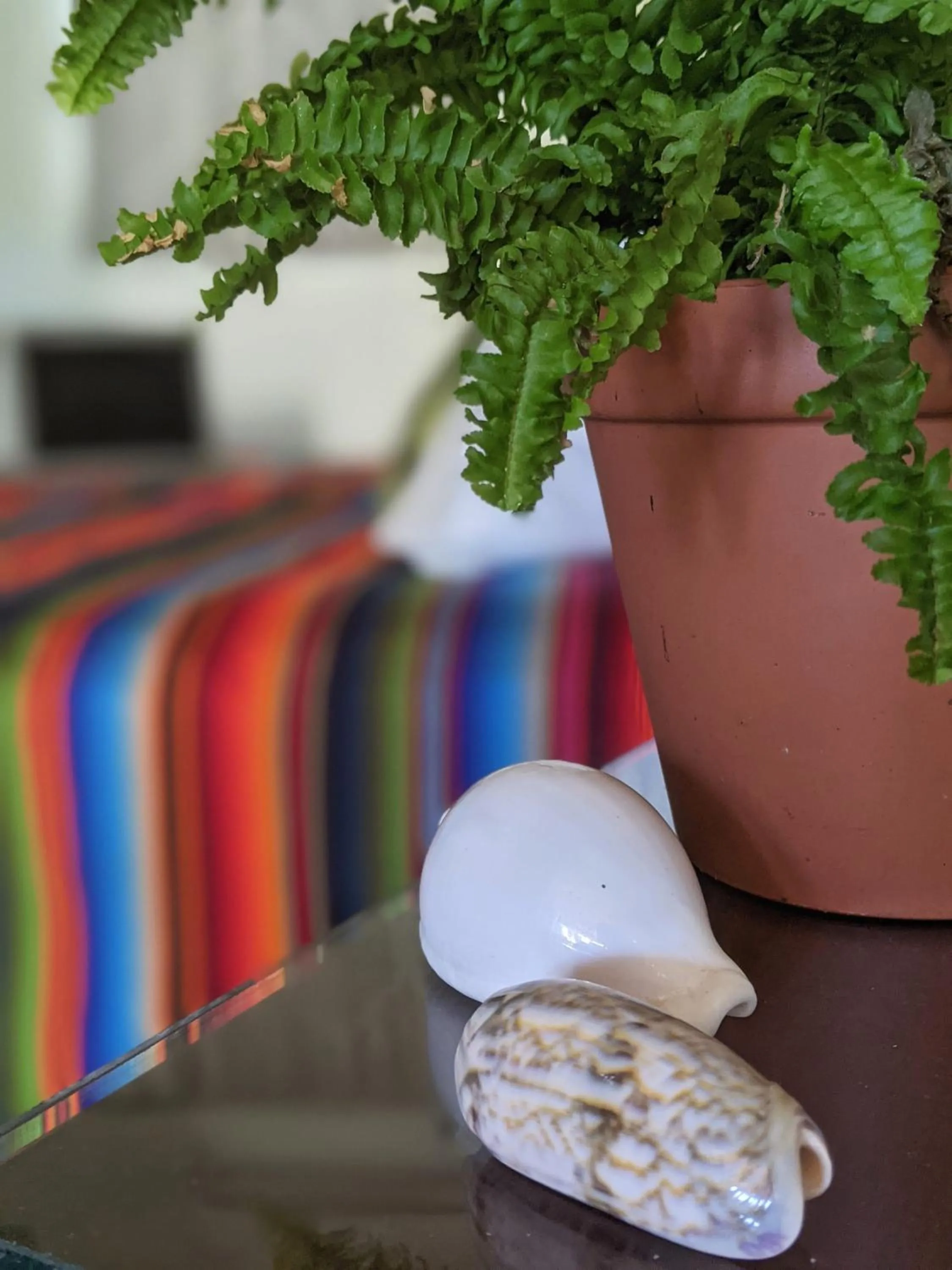 Bedroom in Seaside Inn Roatan