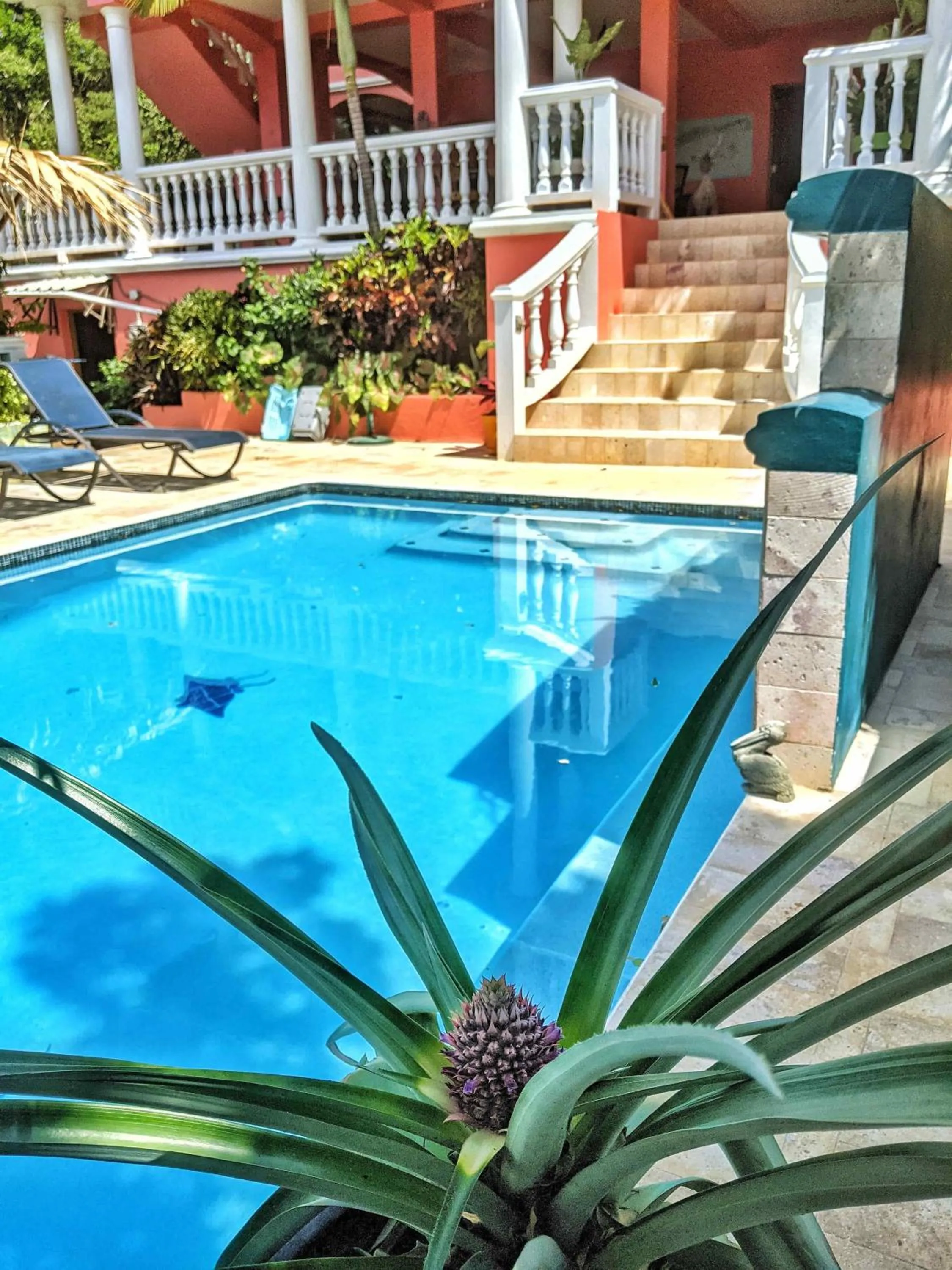 Swimming pool in Seaside Inn Roatan