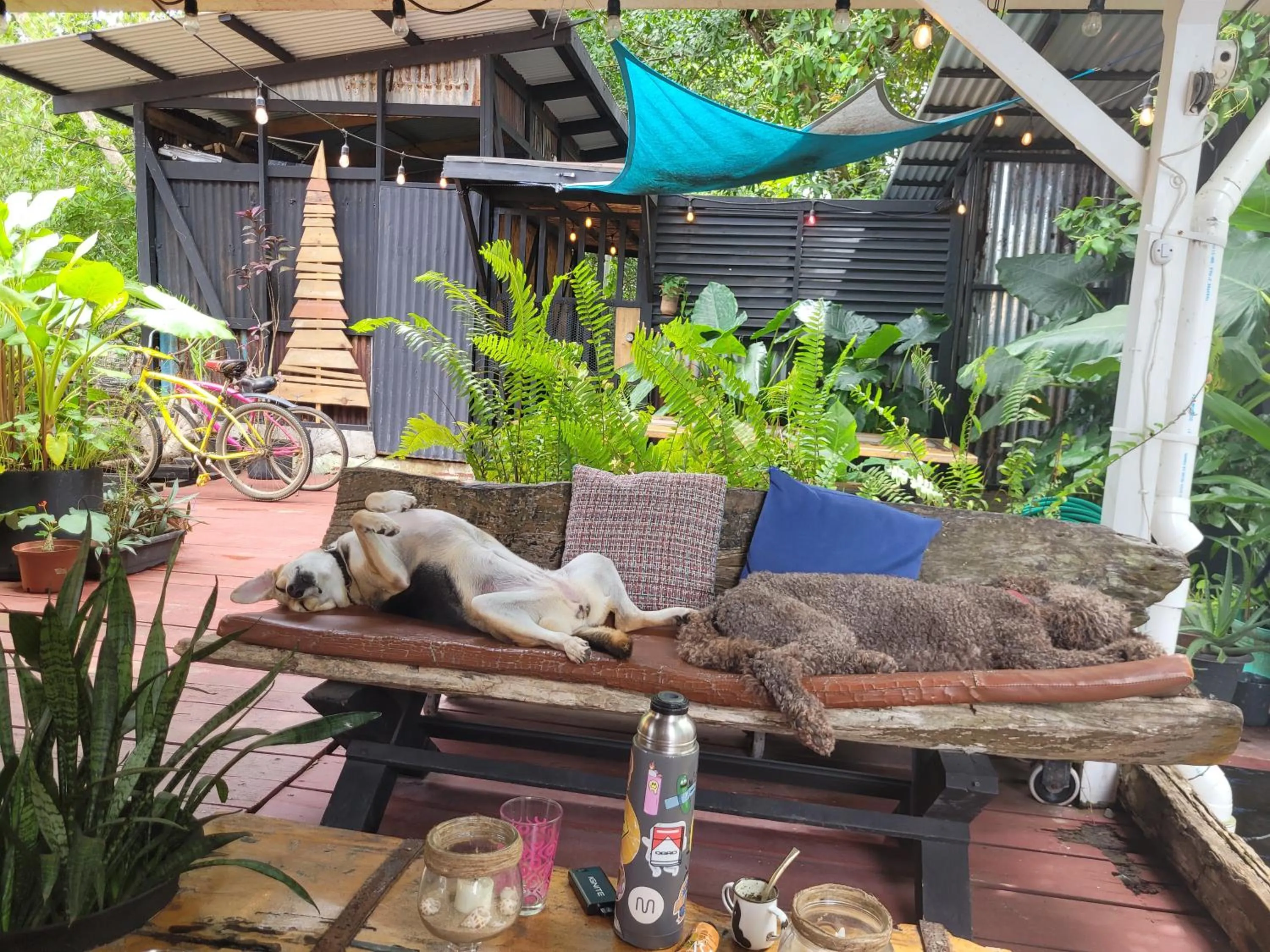 Barrbra BnB Over The Sea