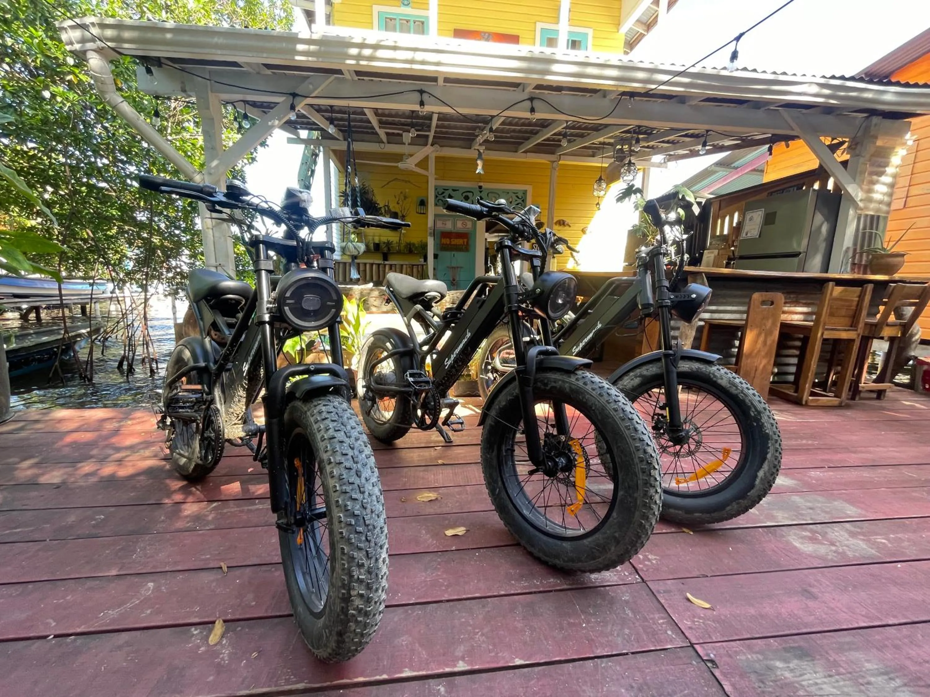 Cycling in Barrbra BnB Over The Sea