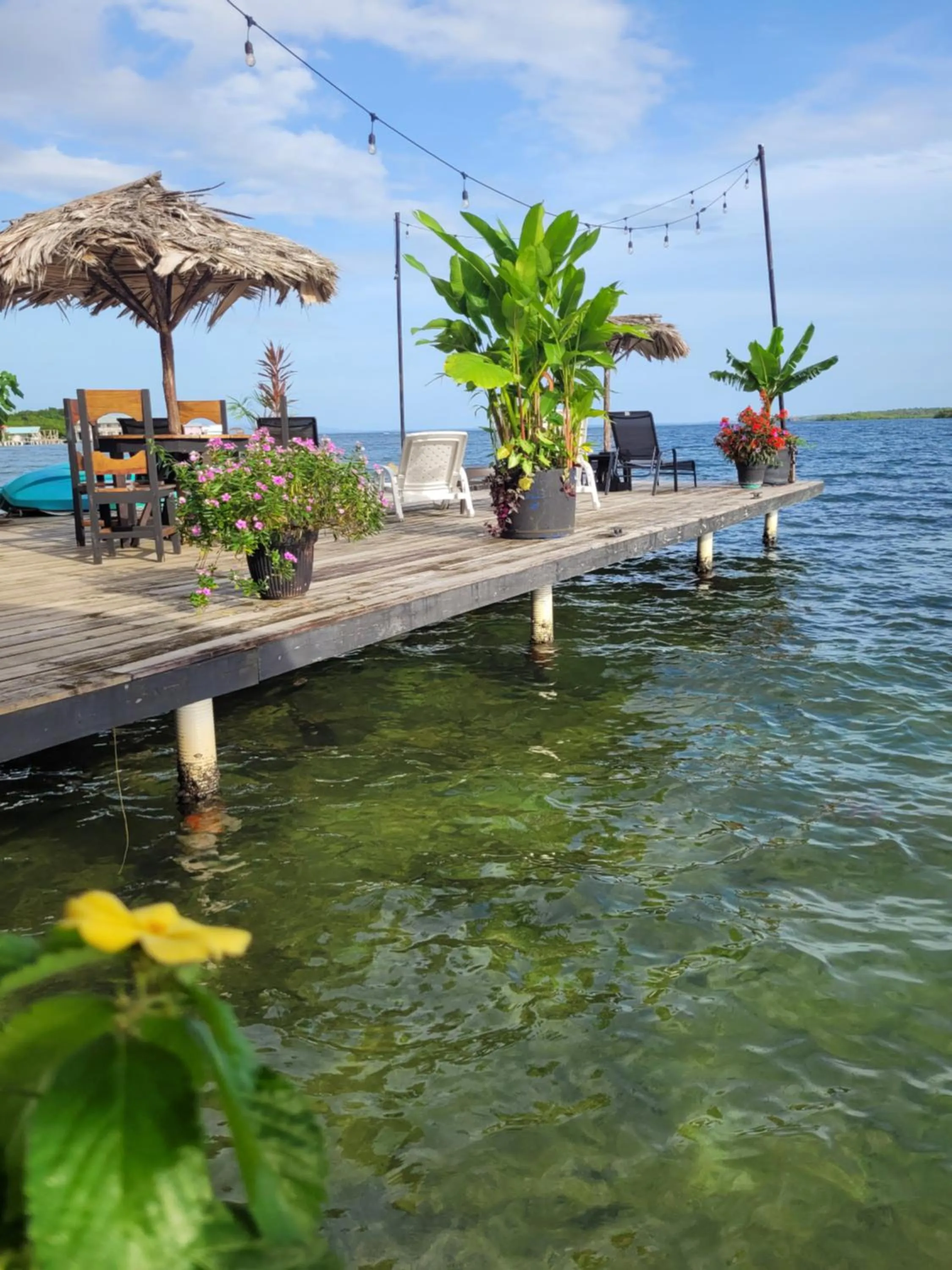 Barrbra BnB Over The Sea