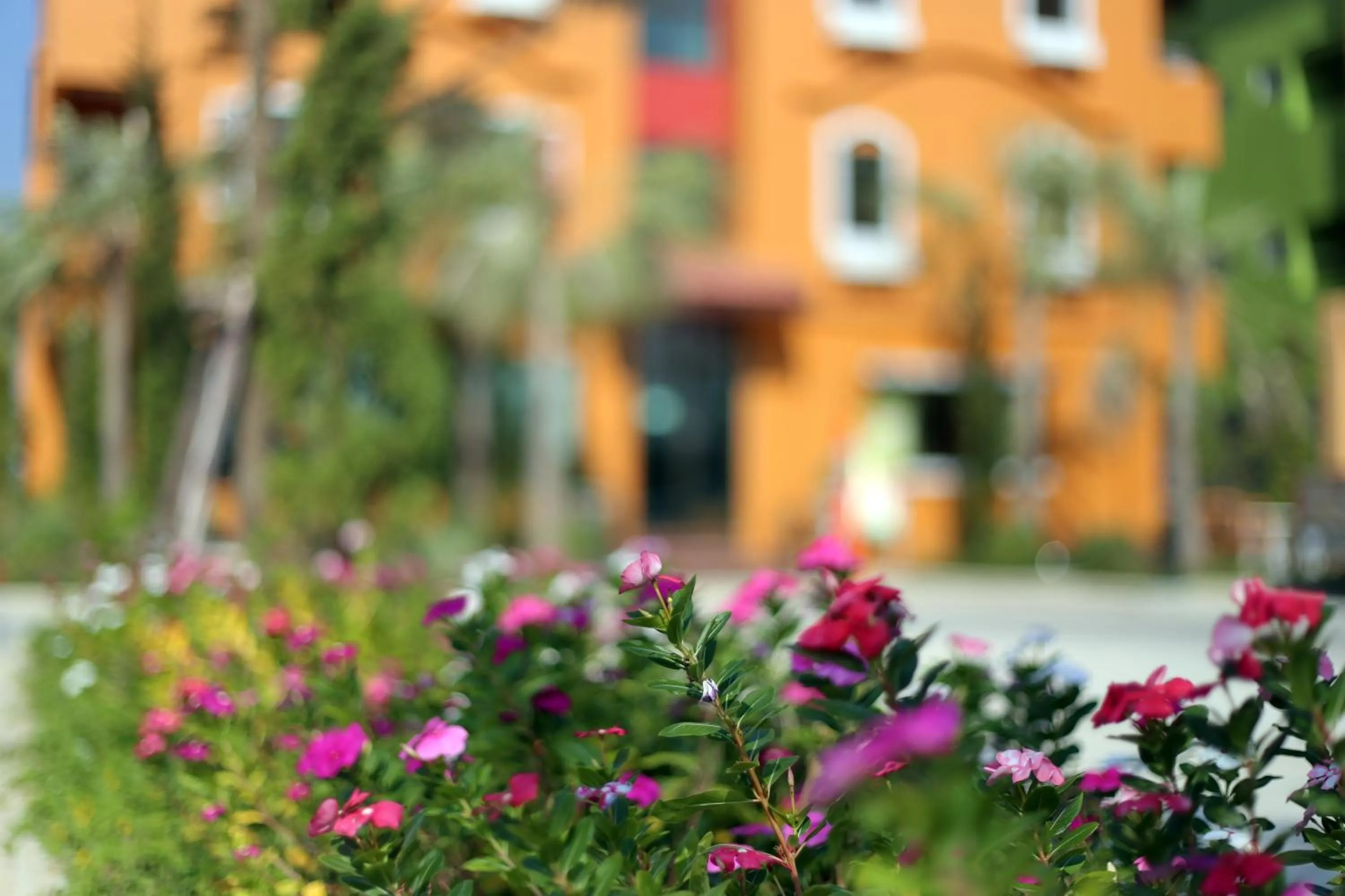 Garden in I-Home Residence and Hotel