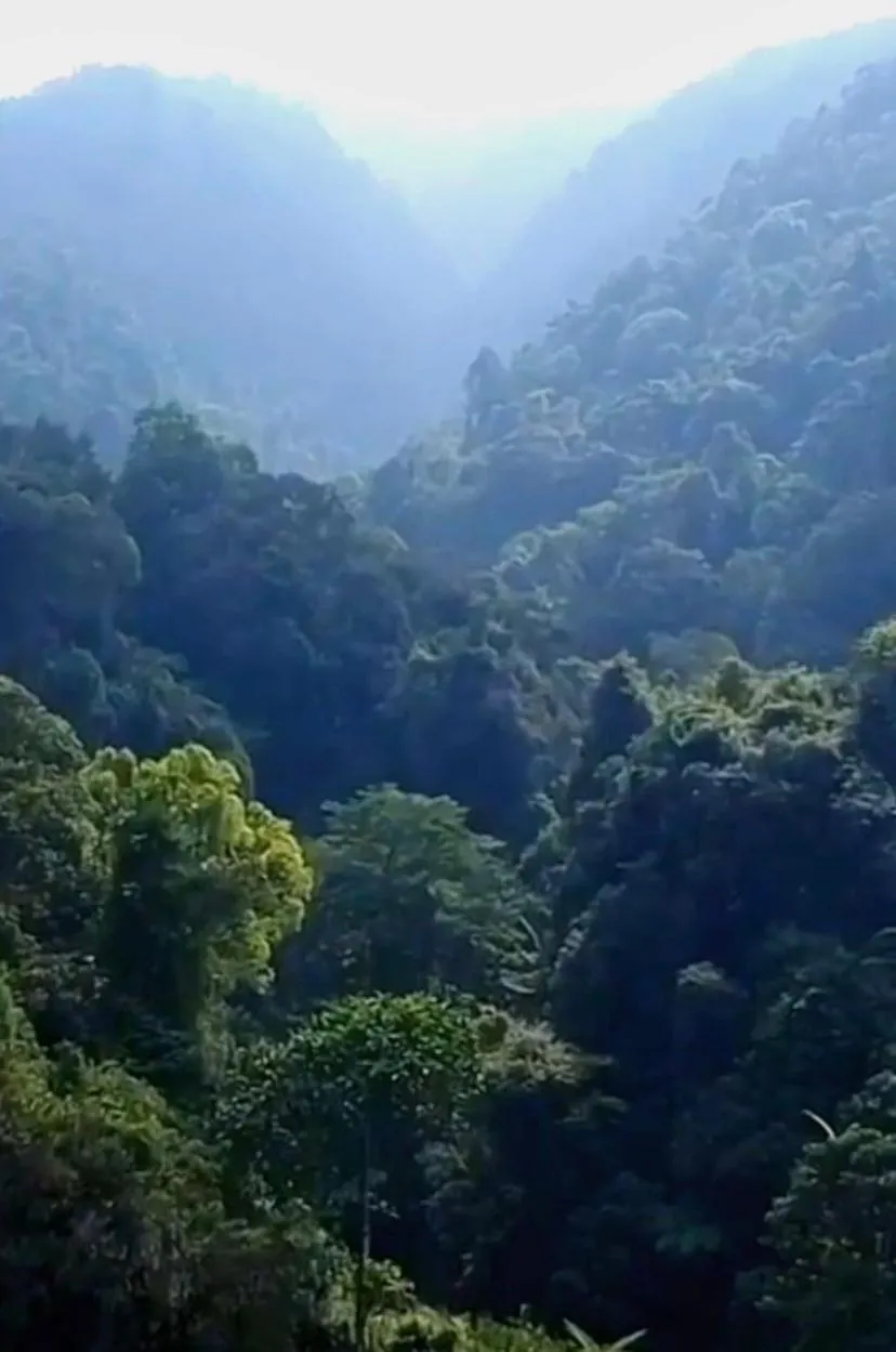 Karang Aji Beach Villa