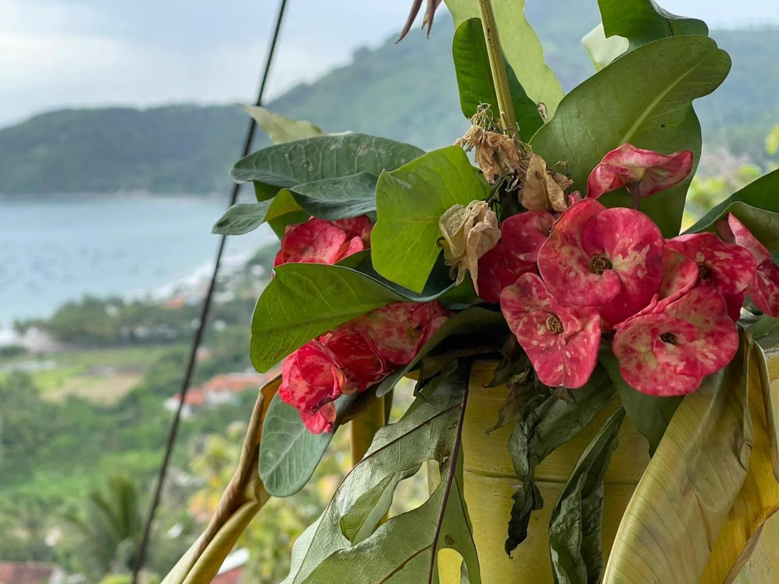 Karang Aji Beach Villa