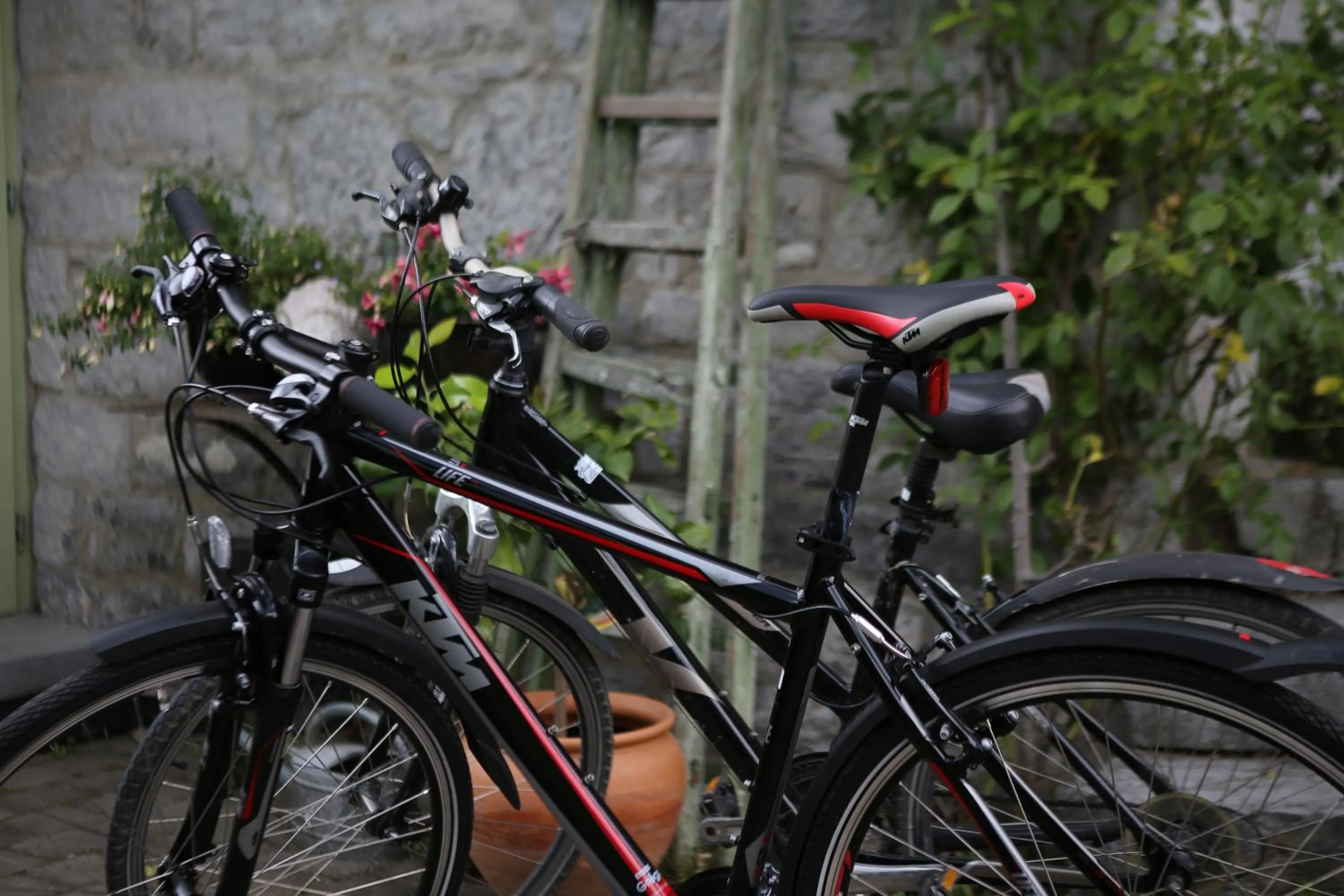 B&B Chez tante Alice