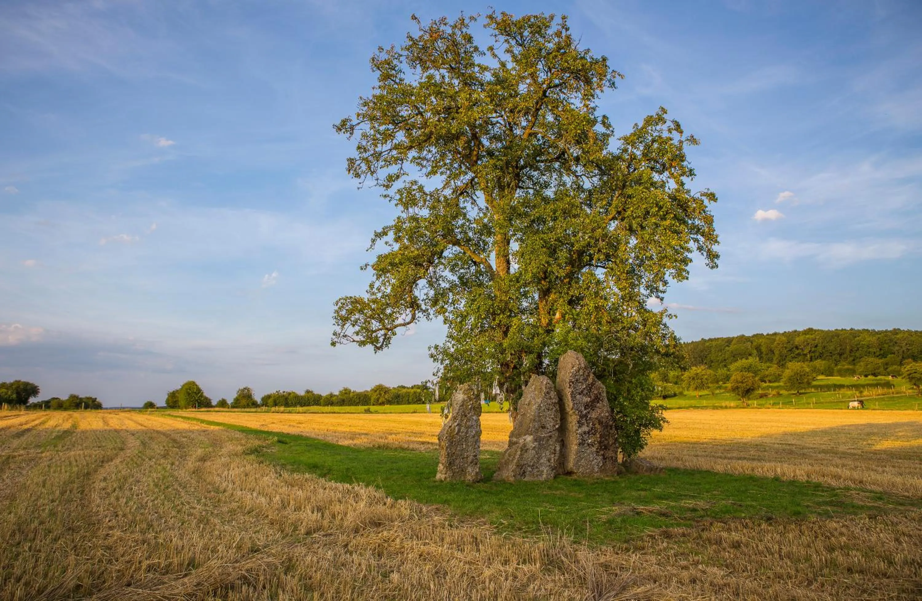 Hiking in B&B Chez tante Alice