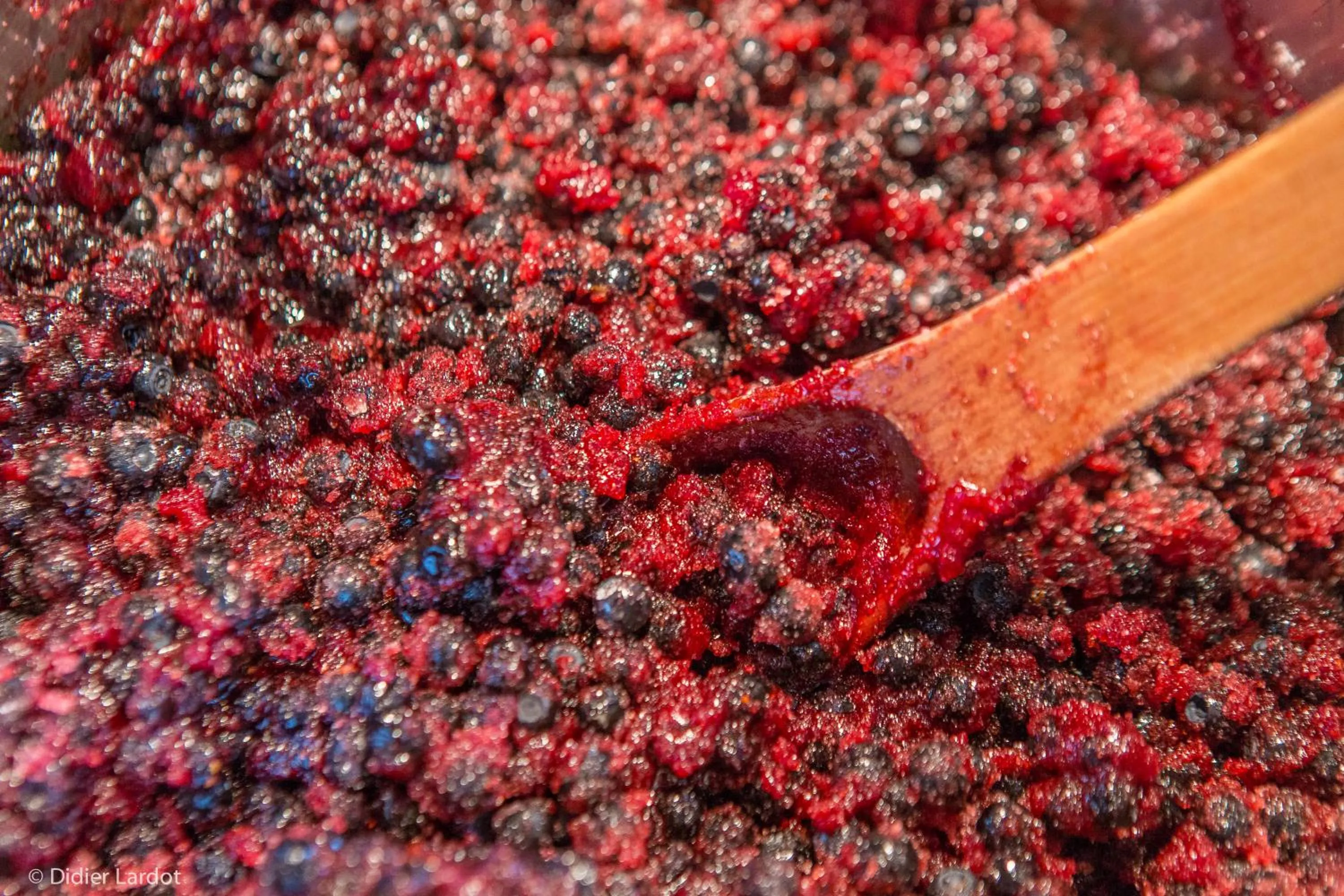 B&B Chez tante Alice