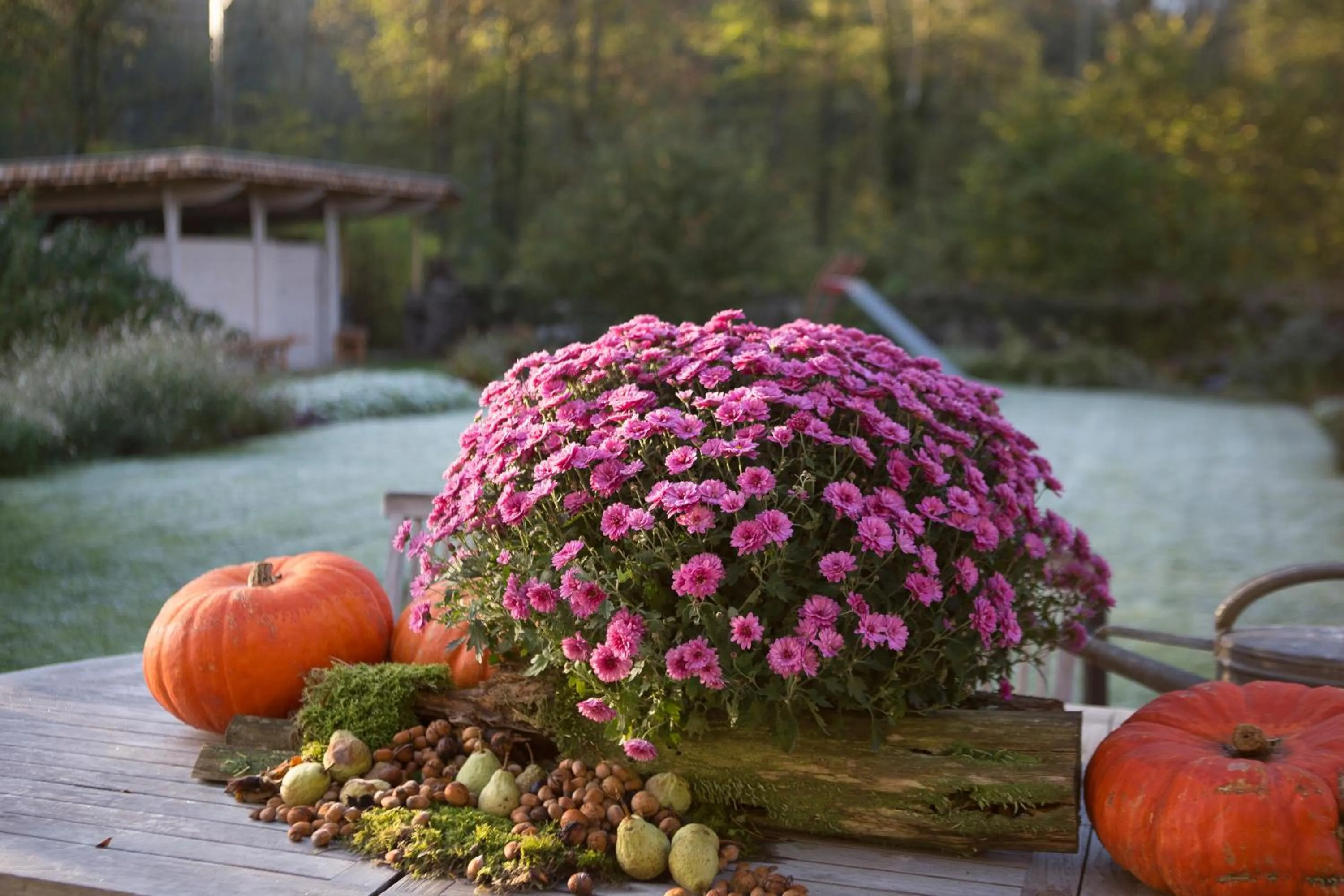 B&B Chez tante Alice