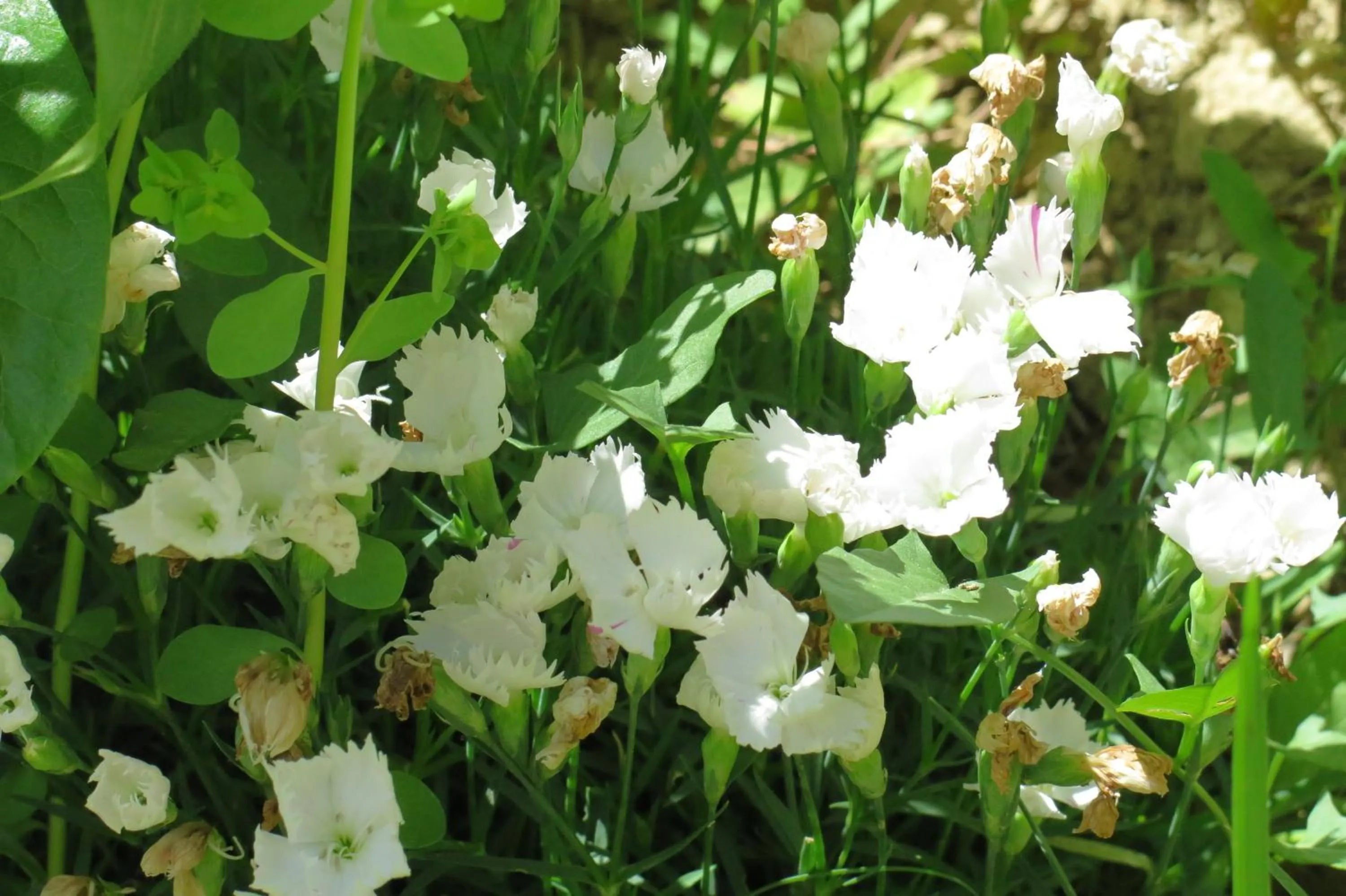 Spring in Art Gallery Rooms