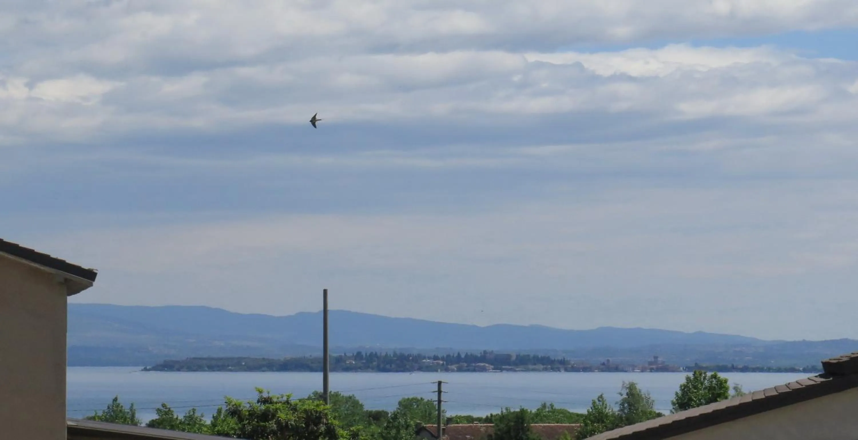 Lake view in Art Gallery Rooms