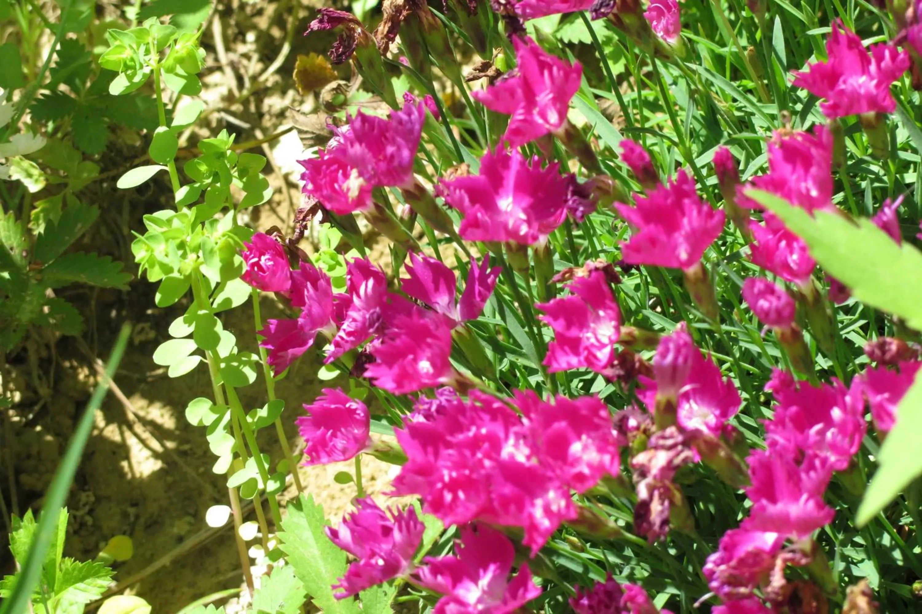 Spring in Art Gallery Rooms