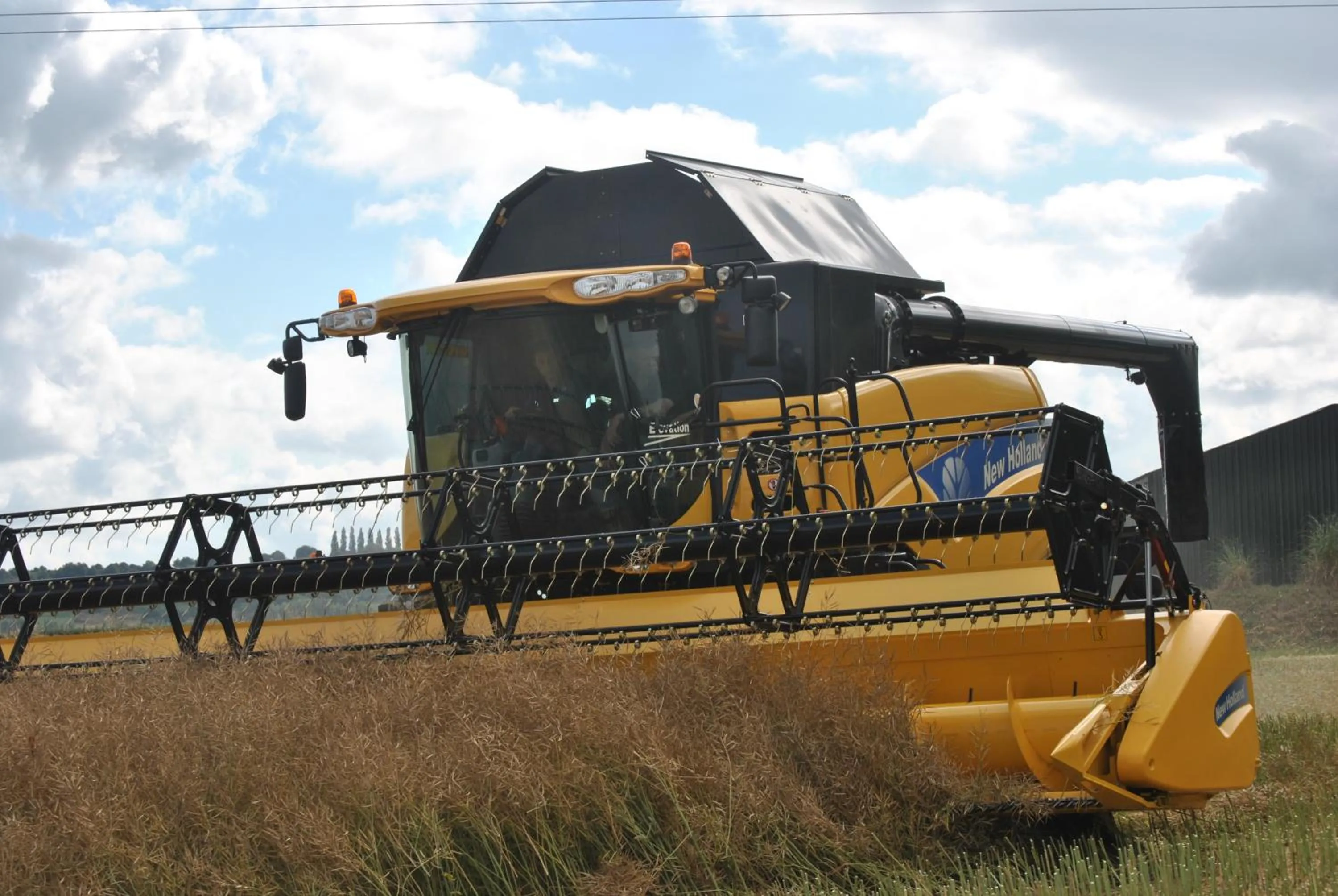 Property building in Elms Farm