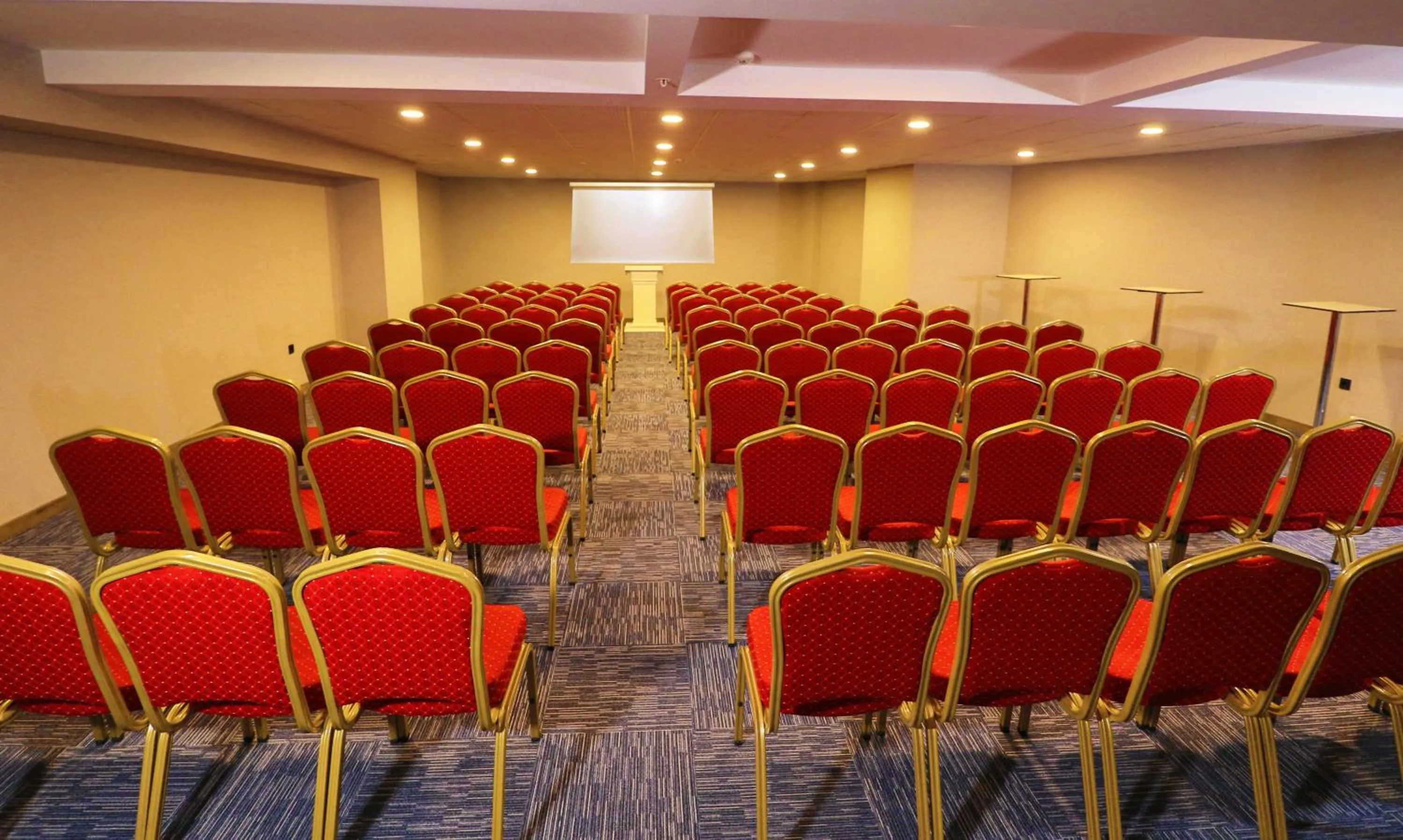 Meeting/conference room in Yildiz Life Hotel