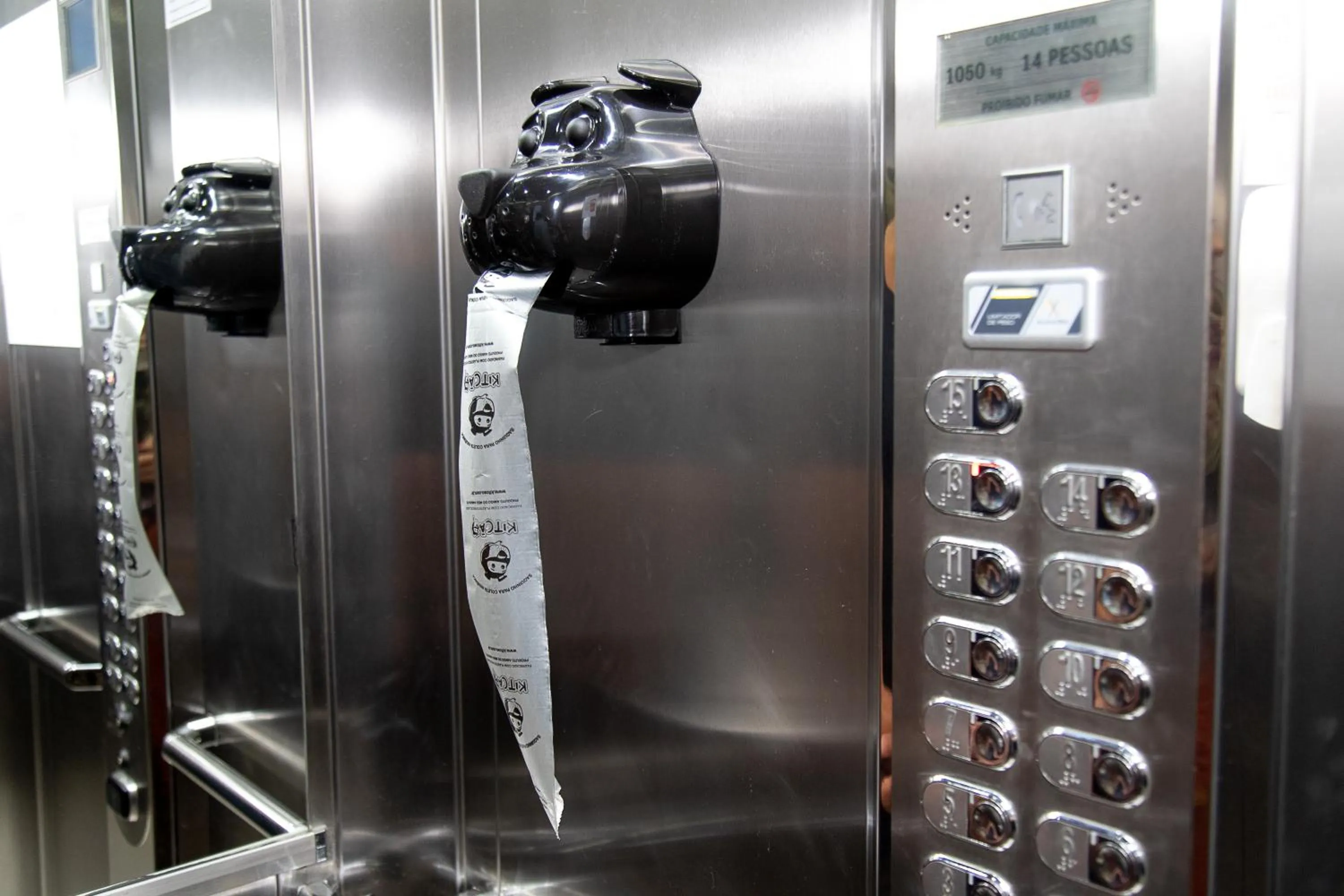 Pets in Radisson Rio de Janeiro Barra