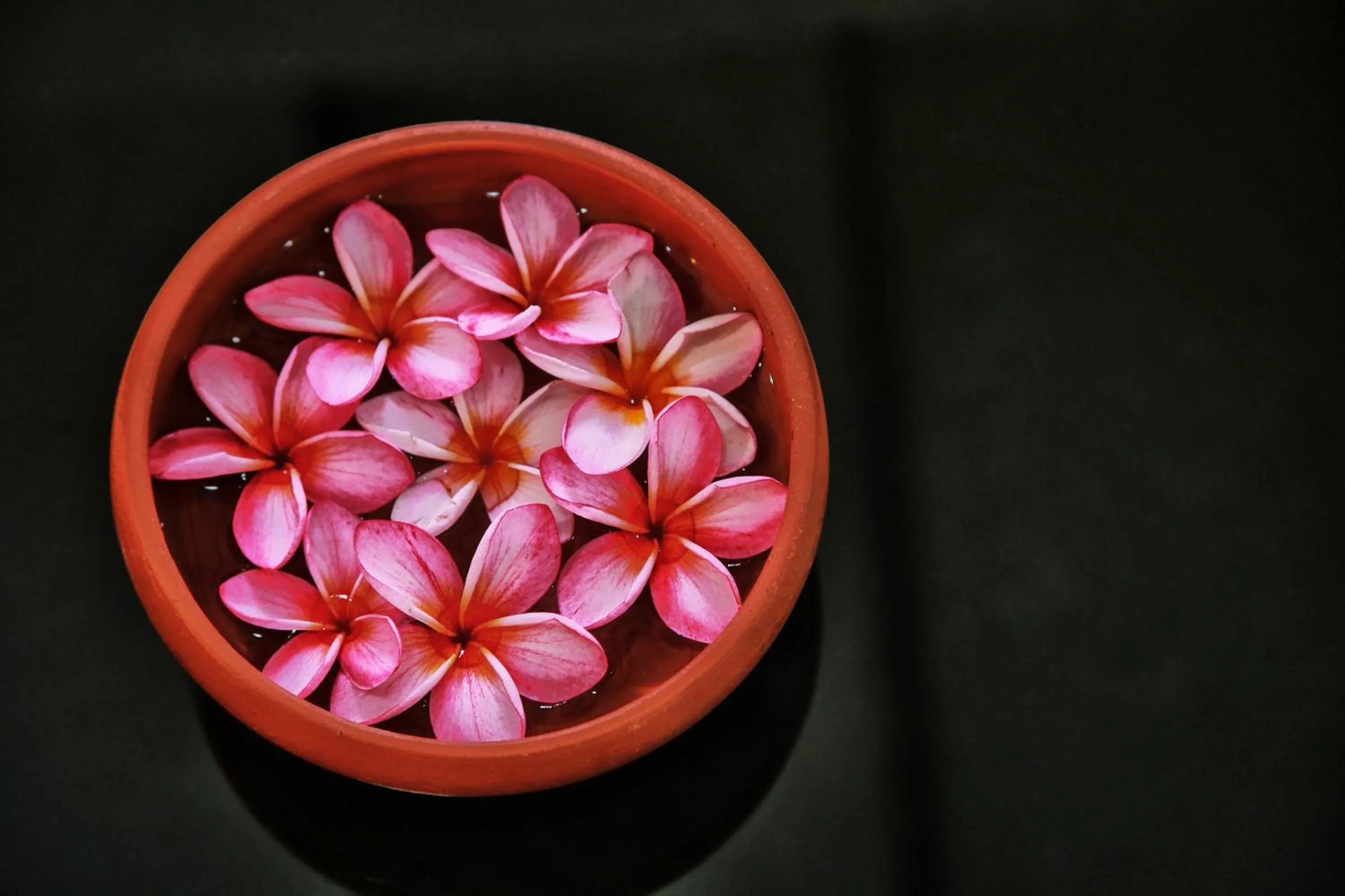 Decorative detail in Gedara Villa