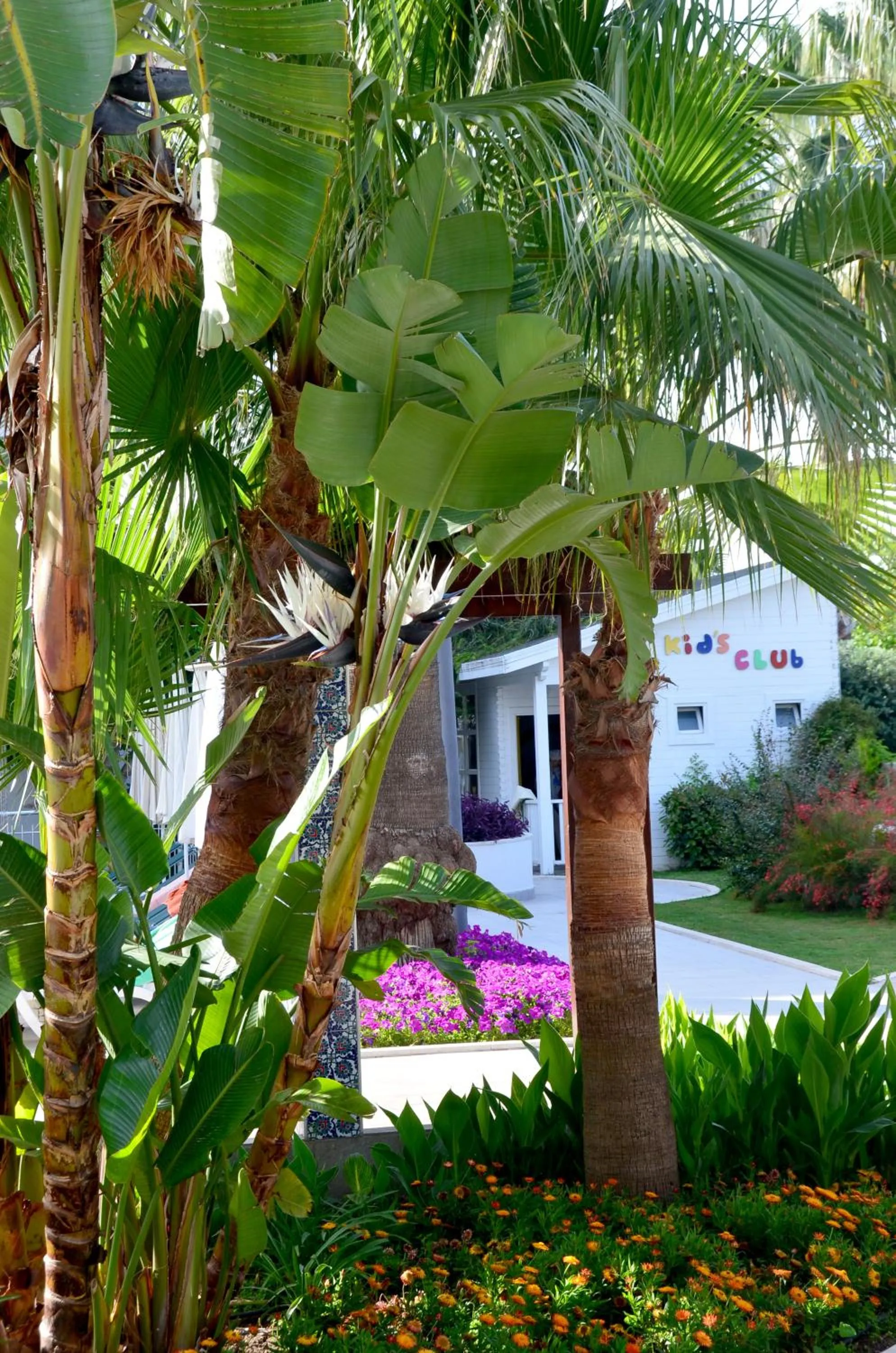 Garden in Calimera Side Resort