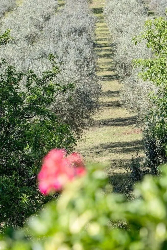 Spring in Casale San Pietro