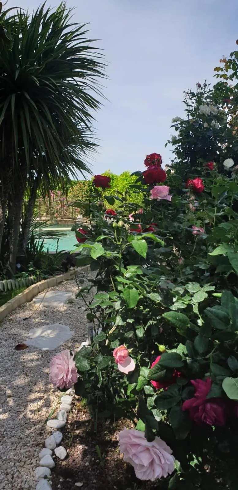 Spring in Villa Solary