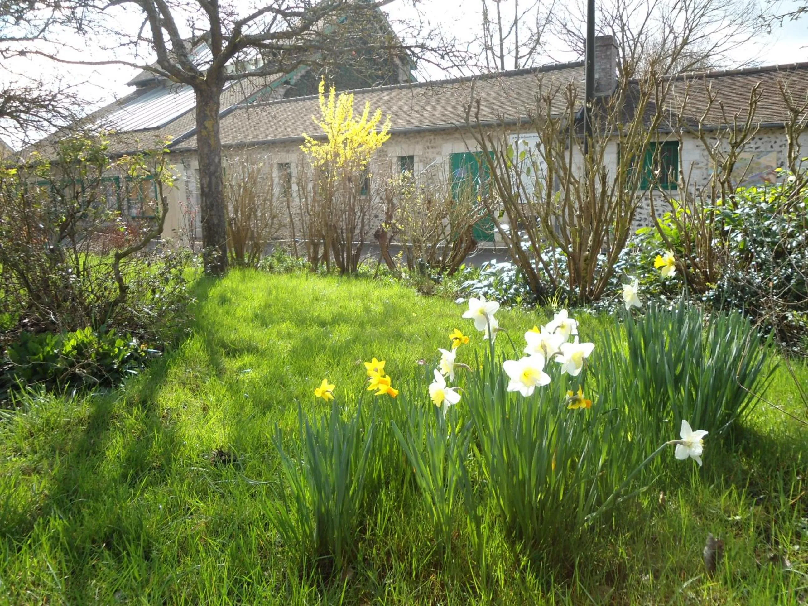 Natural landscape in B&B La Maison de L'Aubette