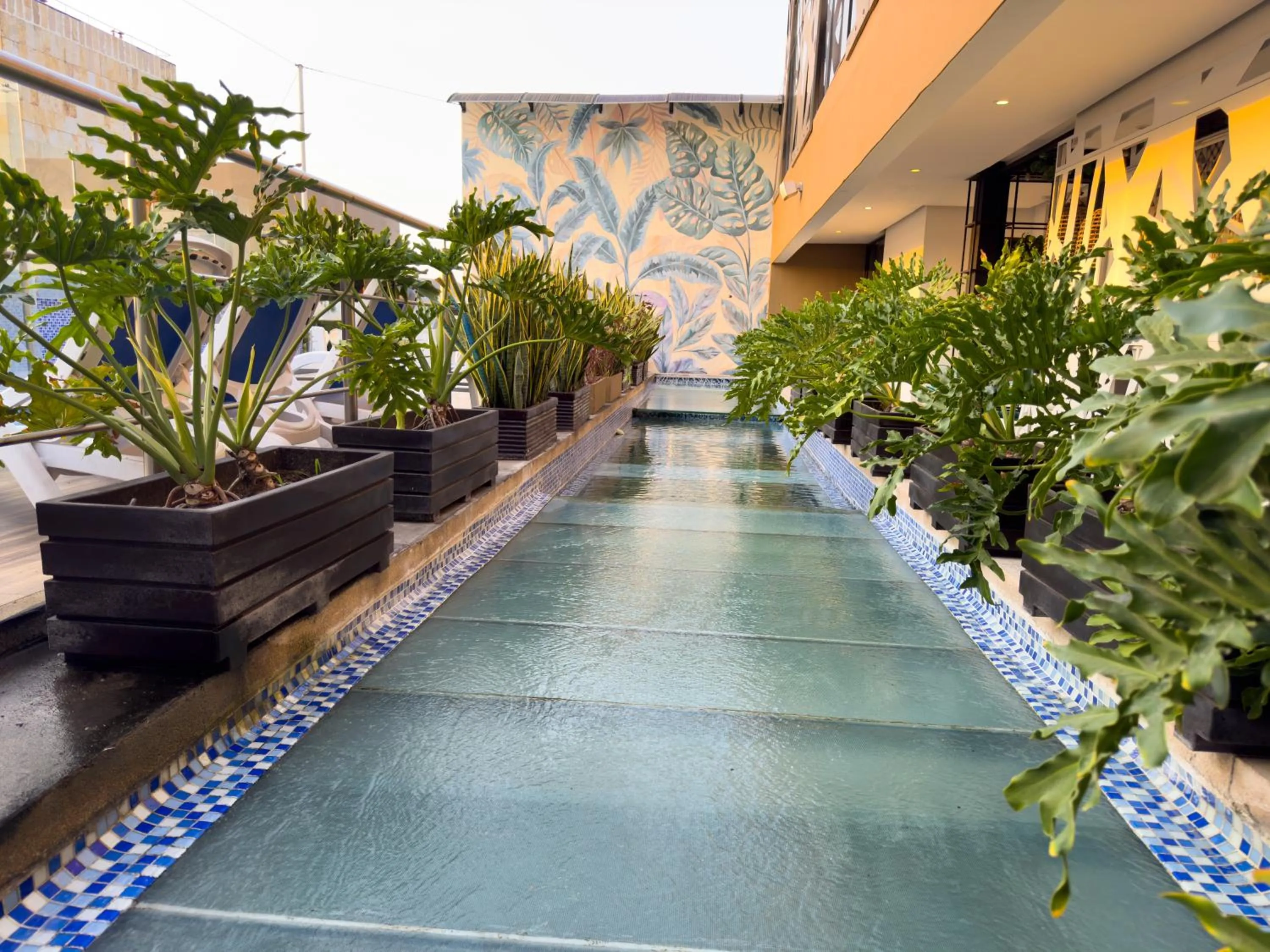 Day in Hotel Catedral Plaza