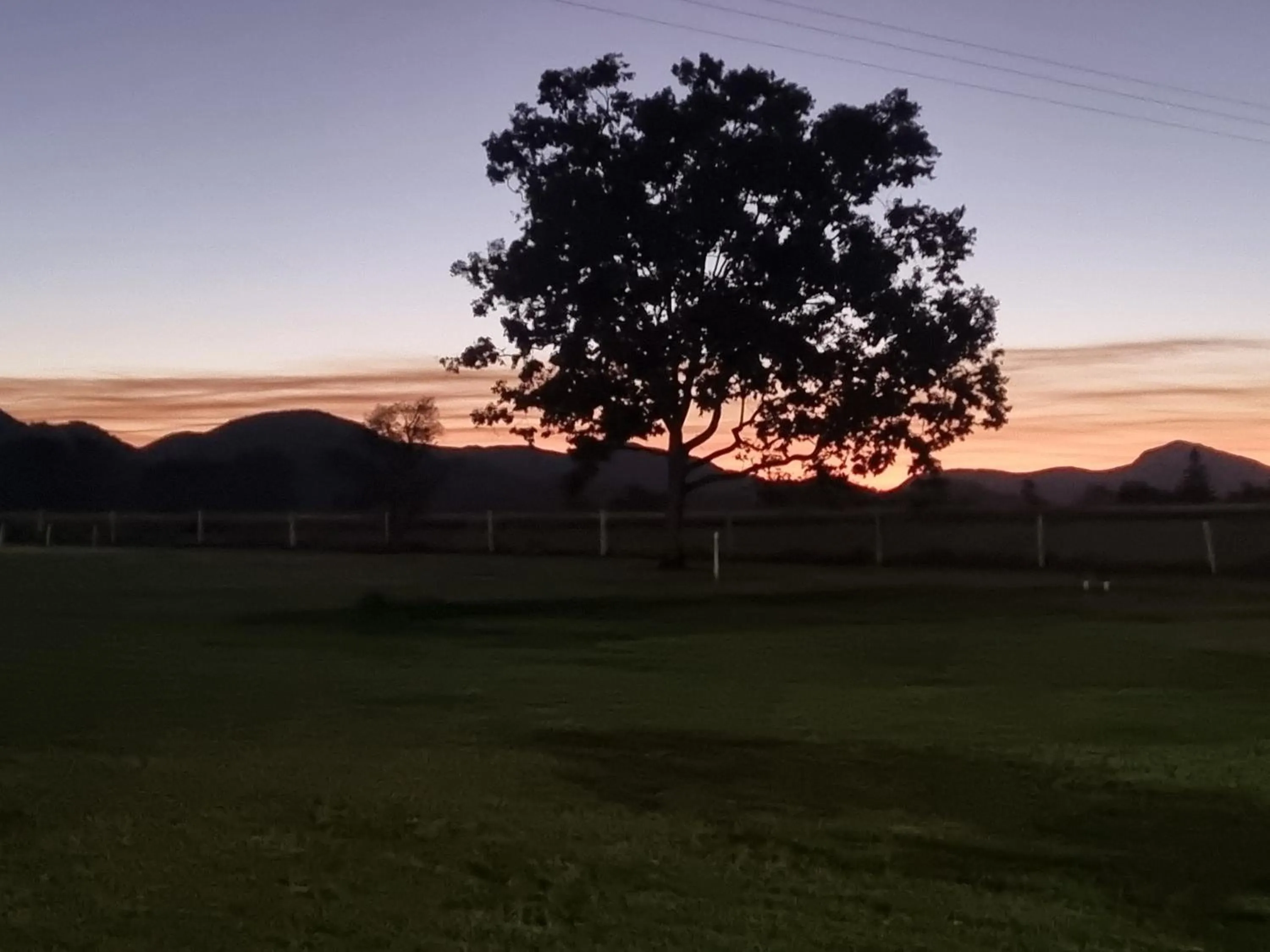 View (from property/room) in Koorawatha Homestead Motel