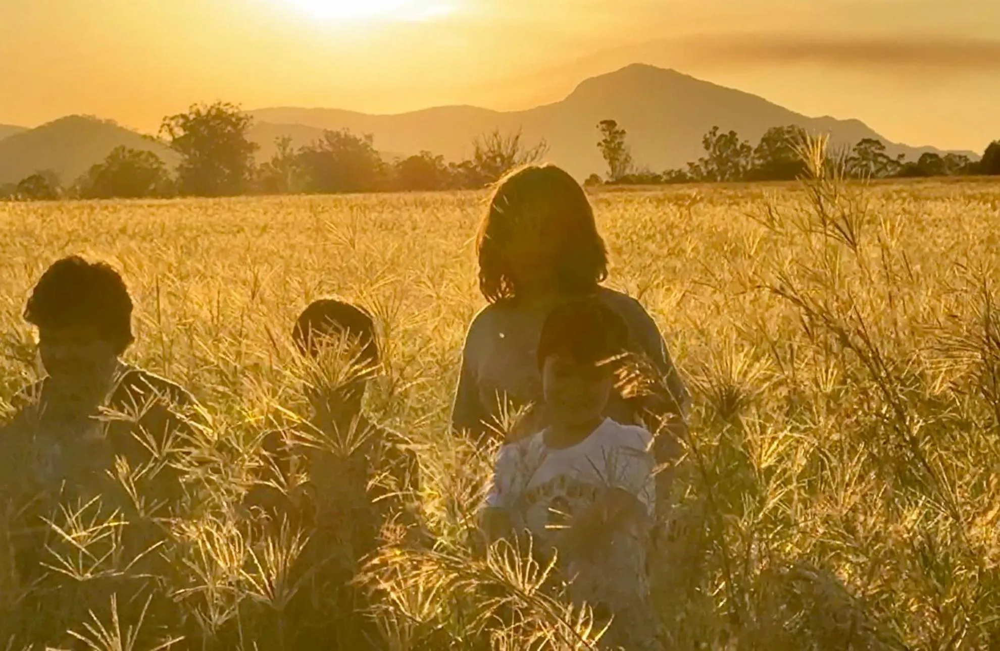 Koorawatha Homestead Motel