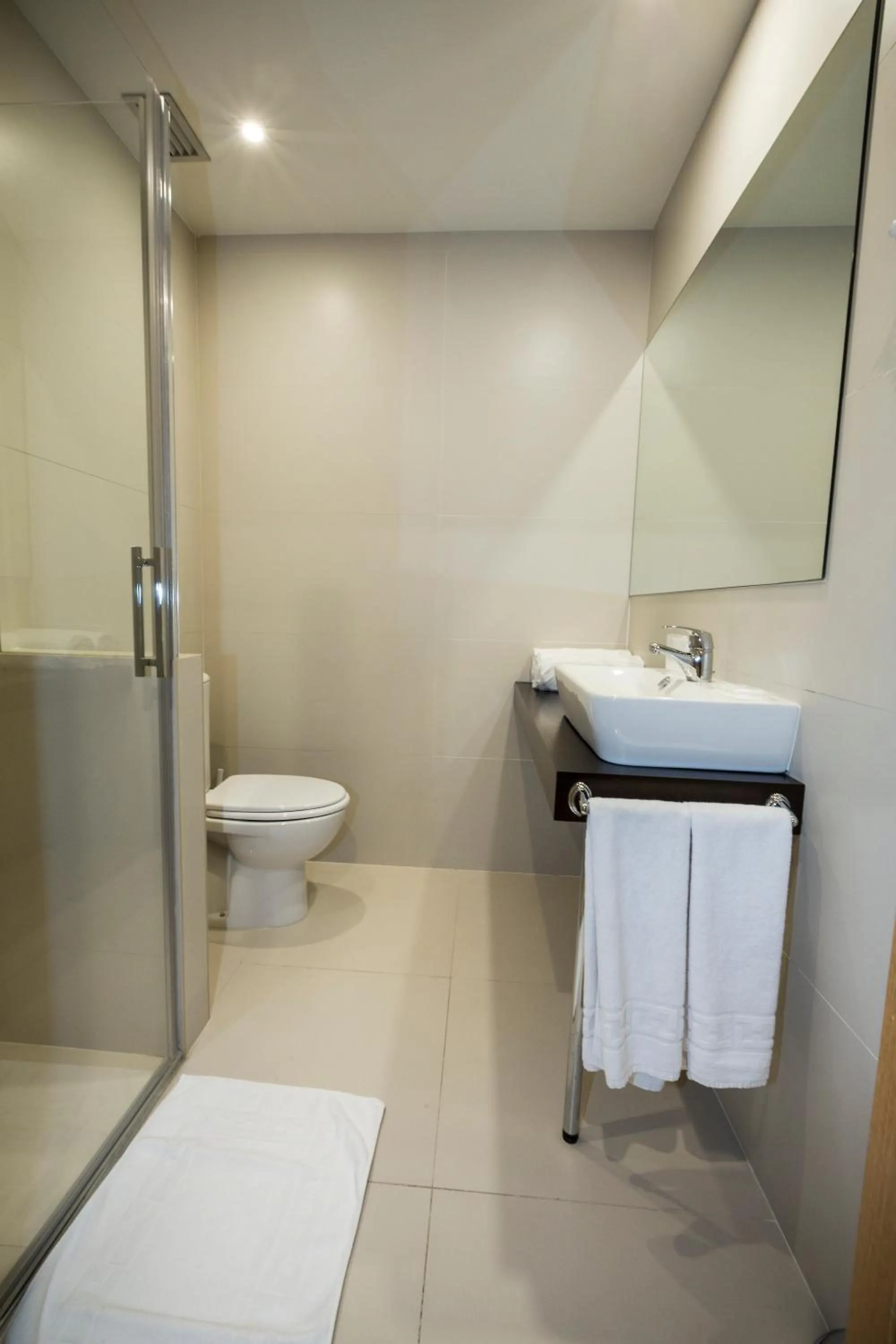 Toilet in Hotel la Posada de Roces