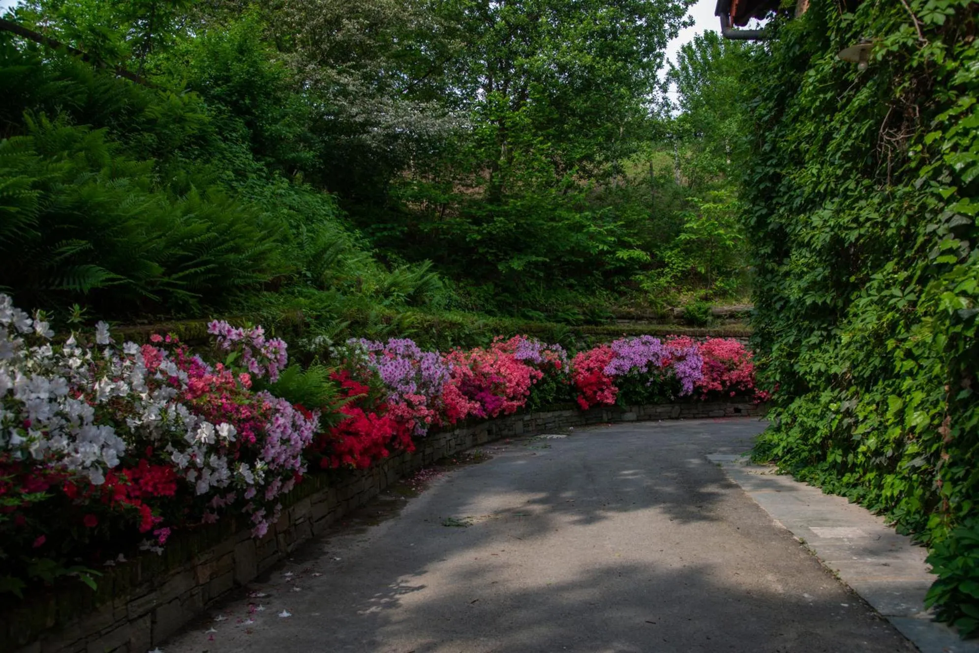 Garden view in La Cucchetta