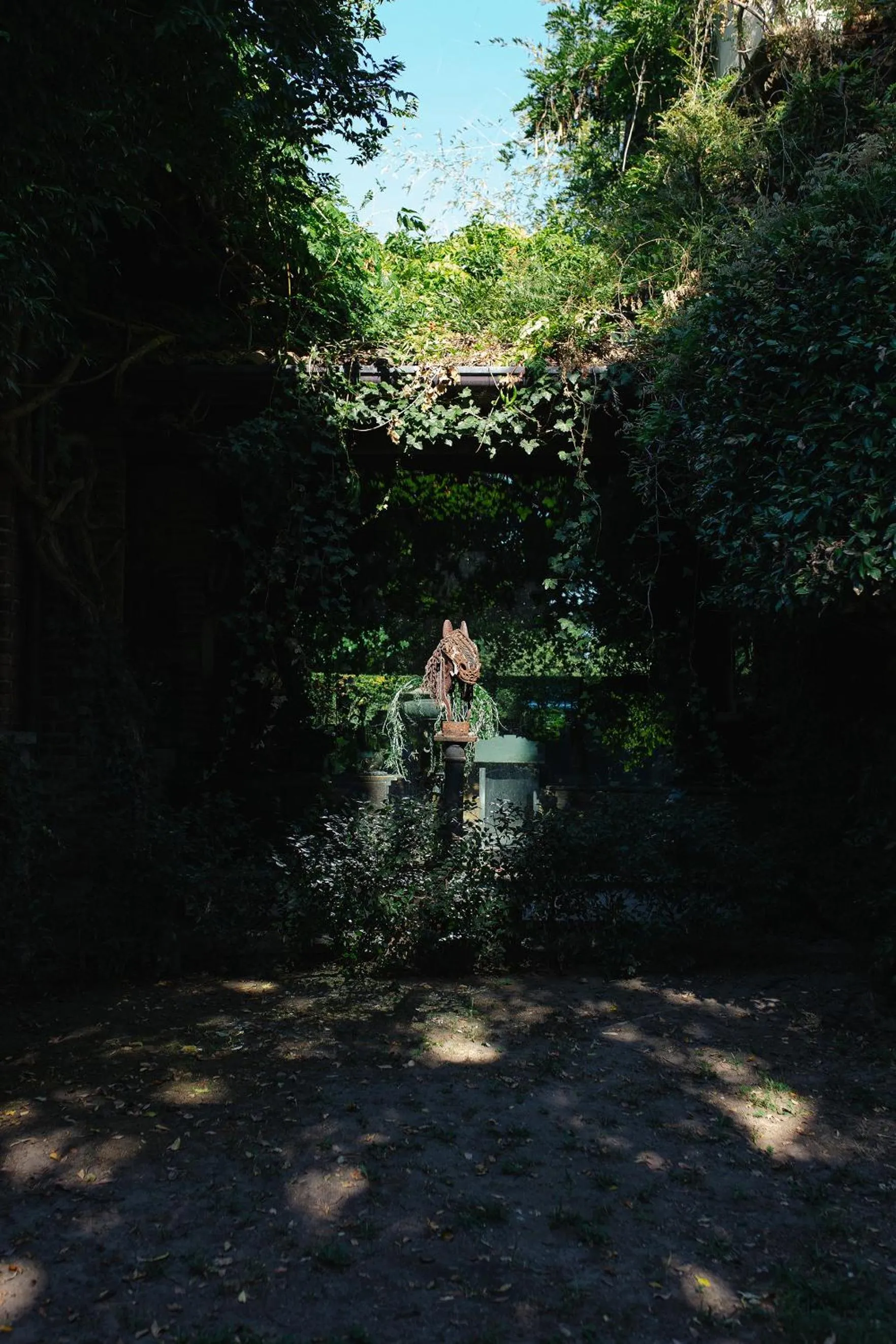 Garden in La Cucchetta