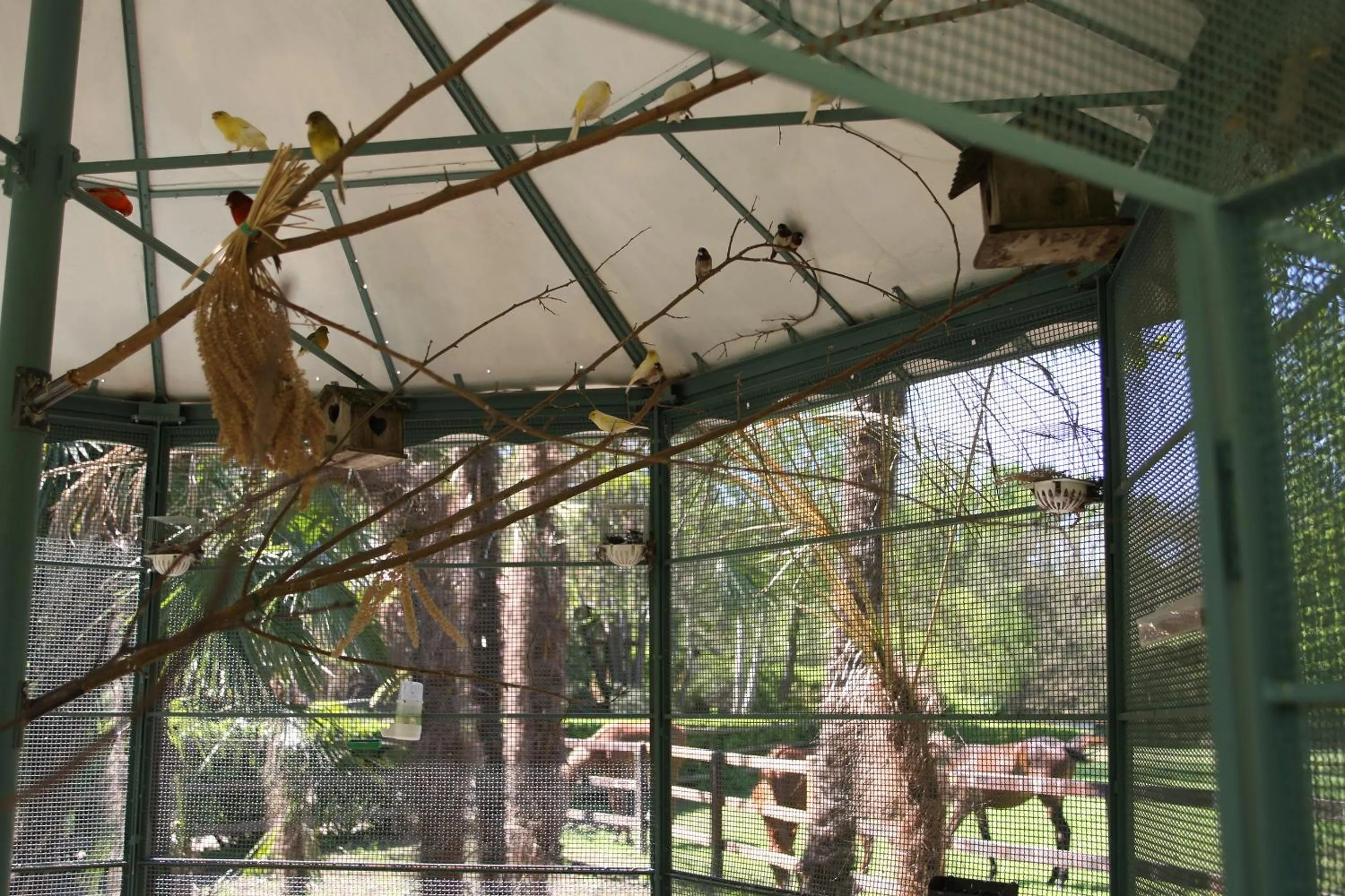 Garden in La Cucchetta