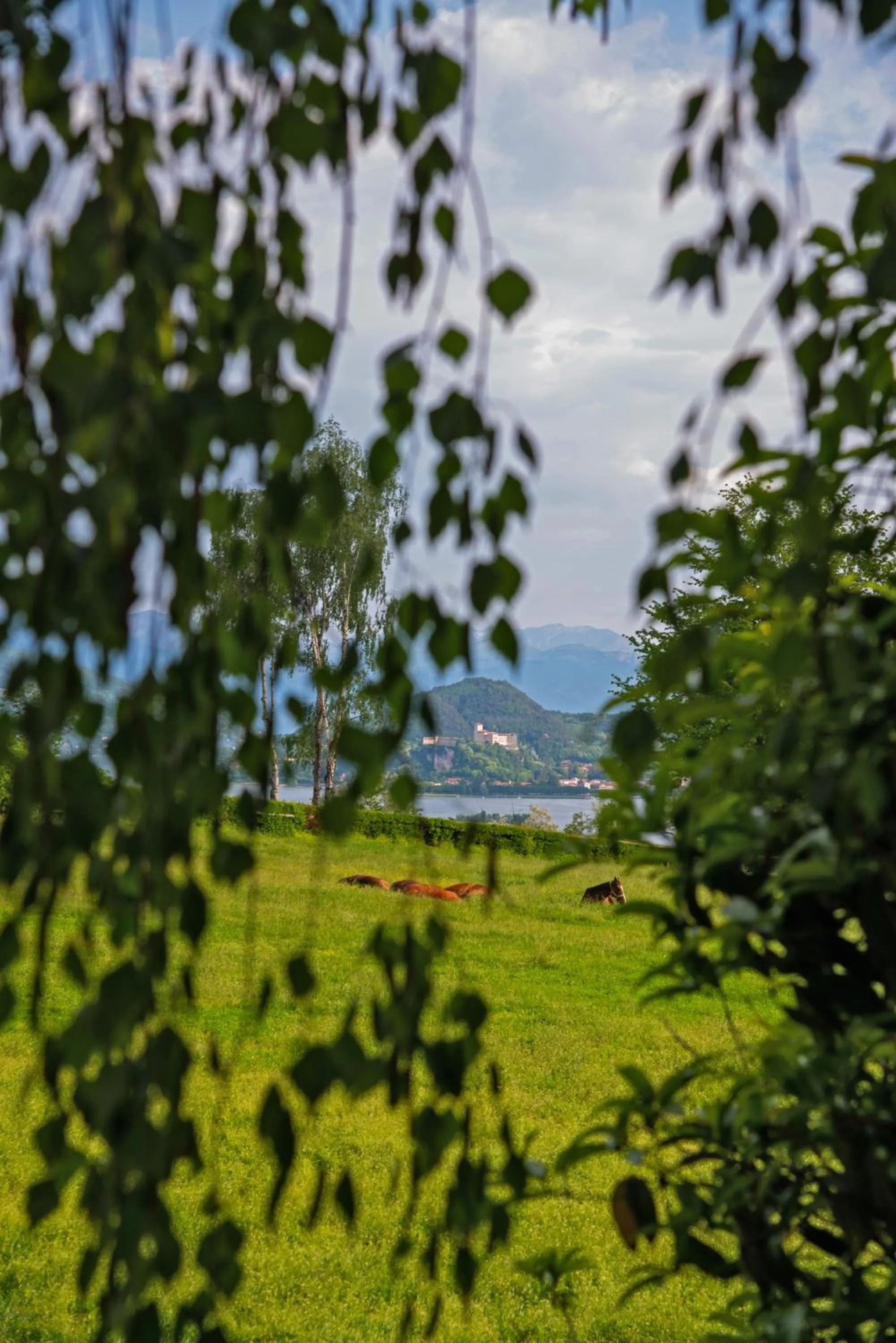 Garden view in La Cucchetta