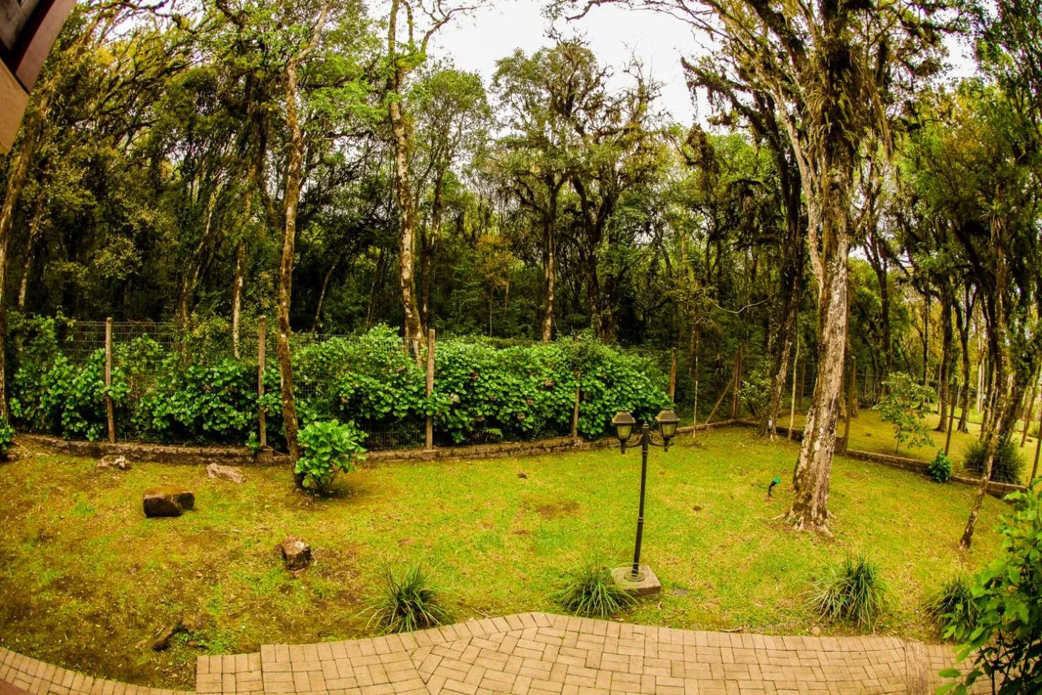 Garden in Pousada Das Papoulas