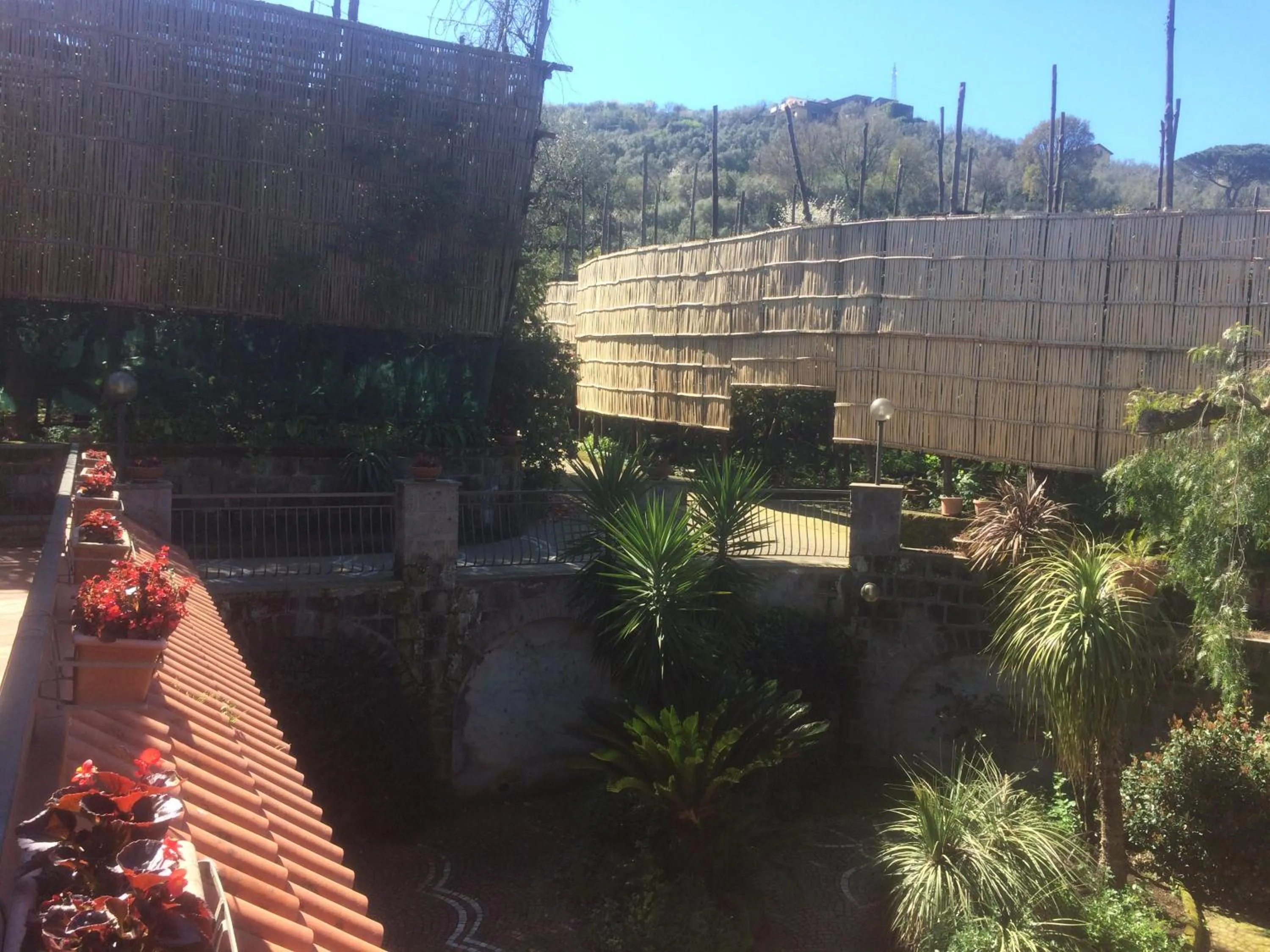 Garden view in Bed and Lemons