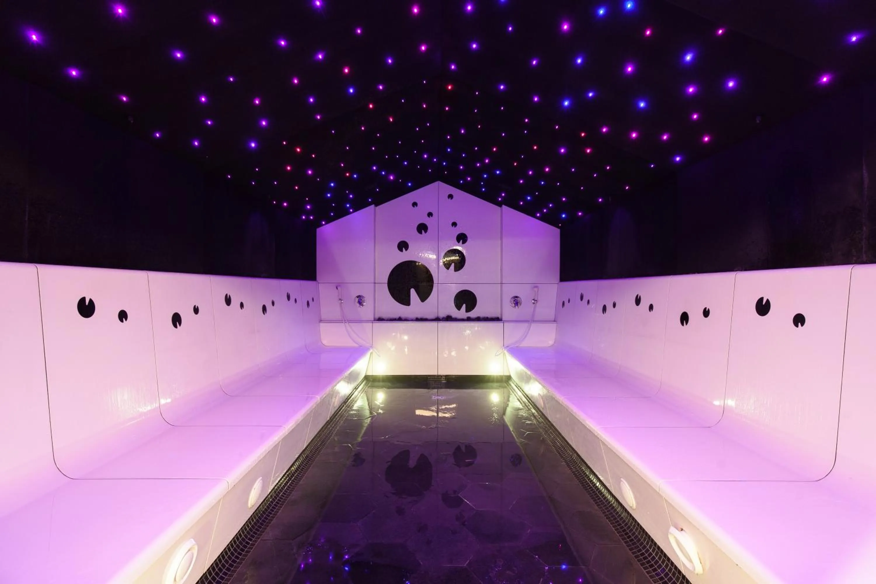 Sauna in Vytautas Mineral SPA