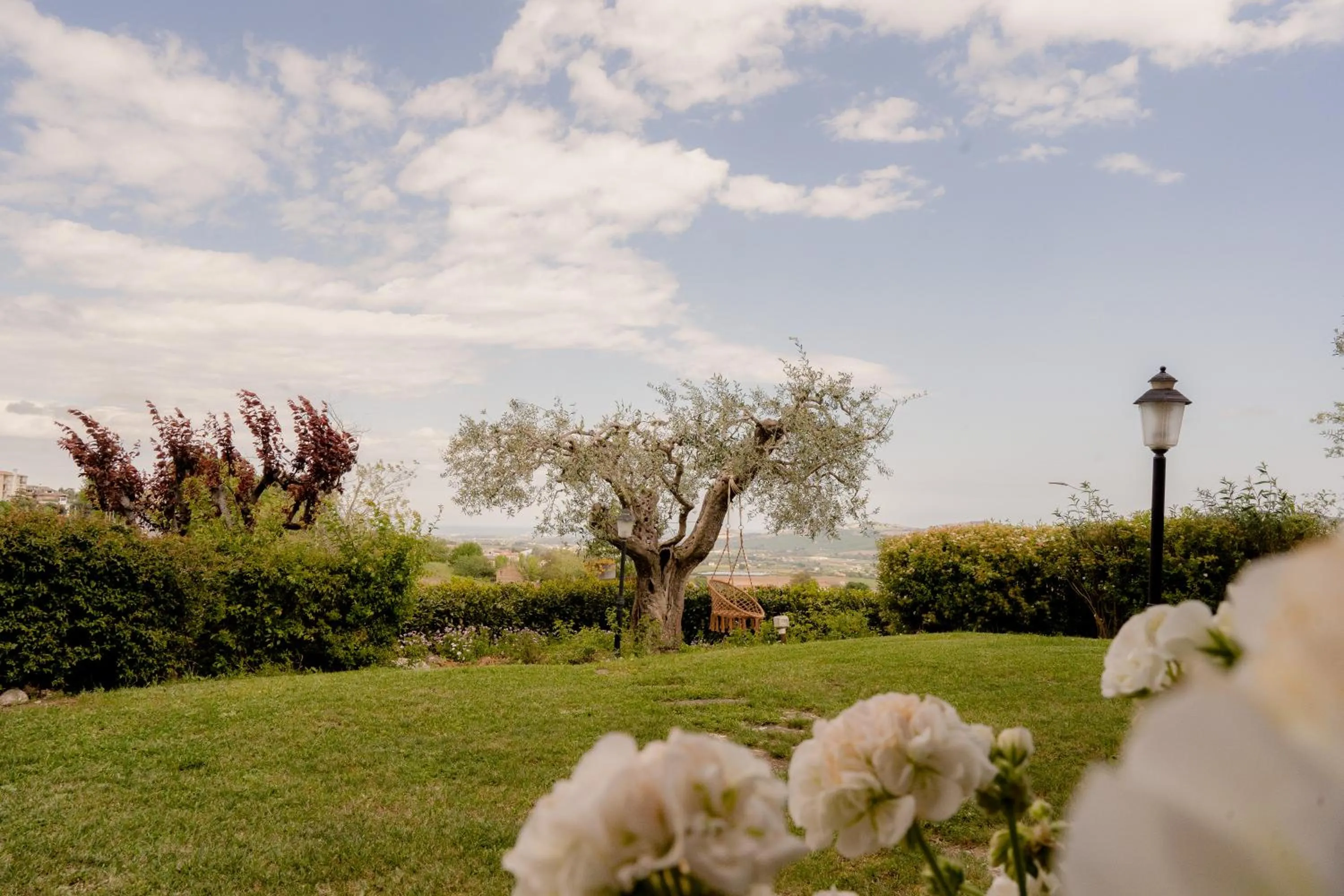 Garden in Ai Quattro Ulivi B&B