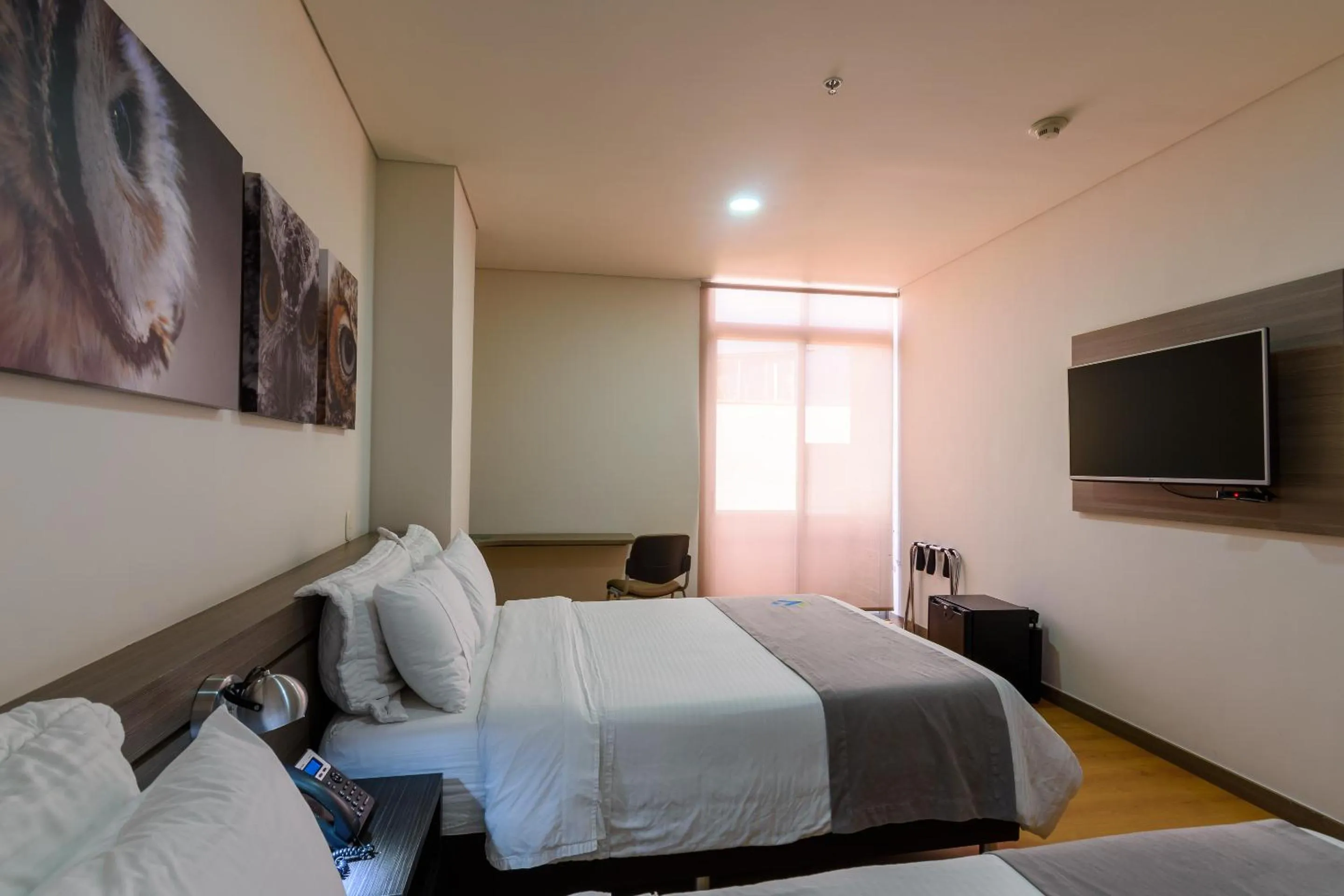 TV and multimedia, Bed in Hotel Vivre