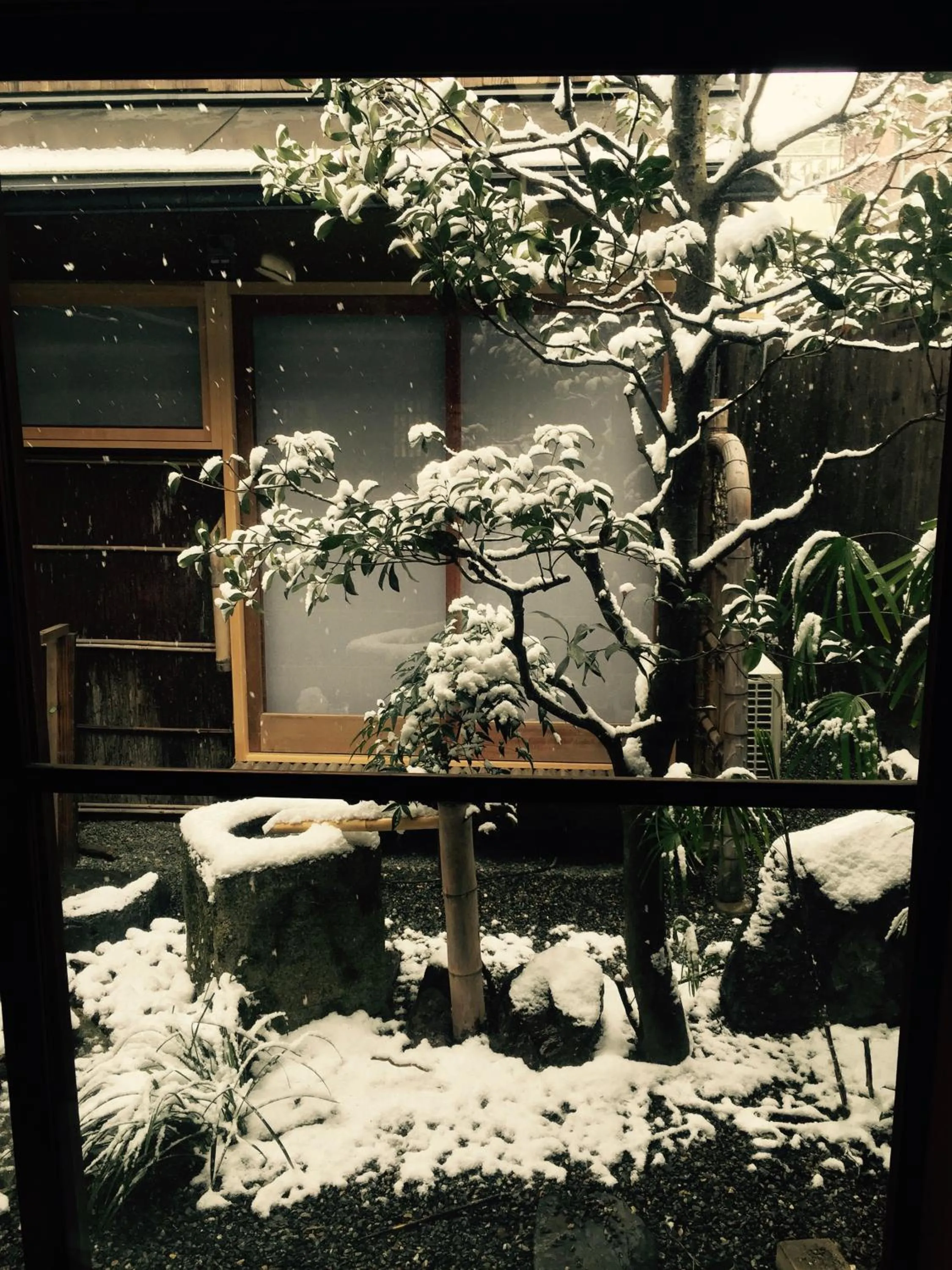 Winter in Mitsuki Kyoto