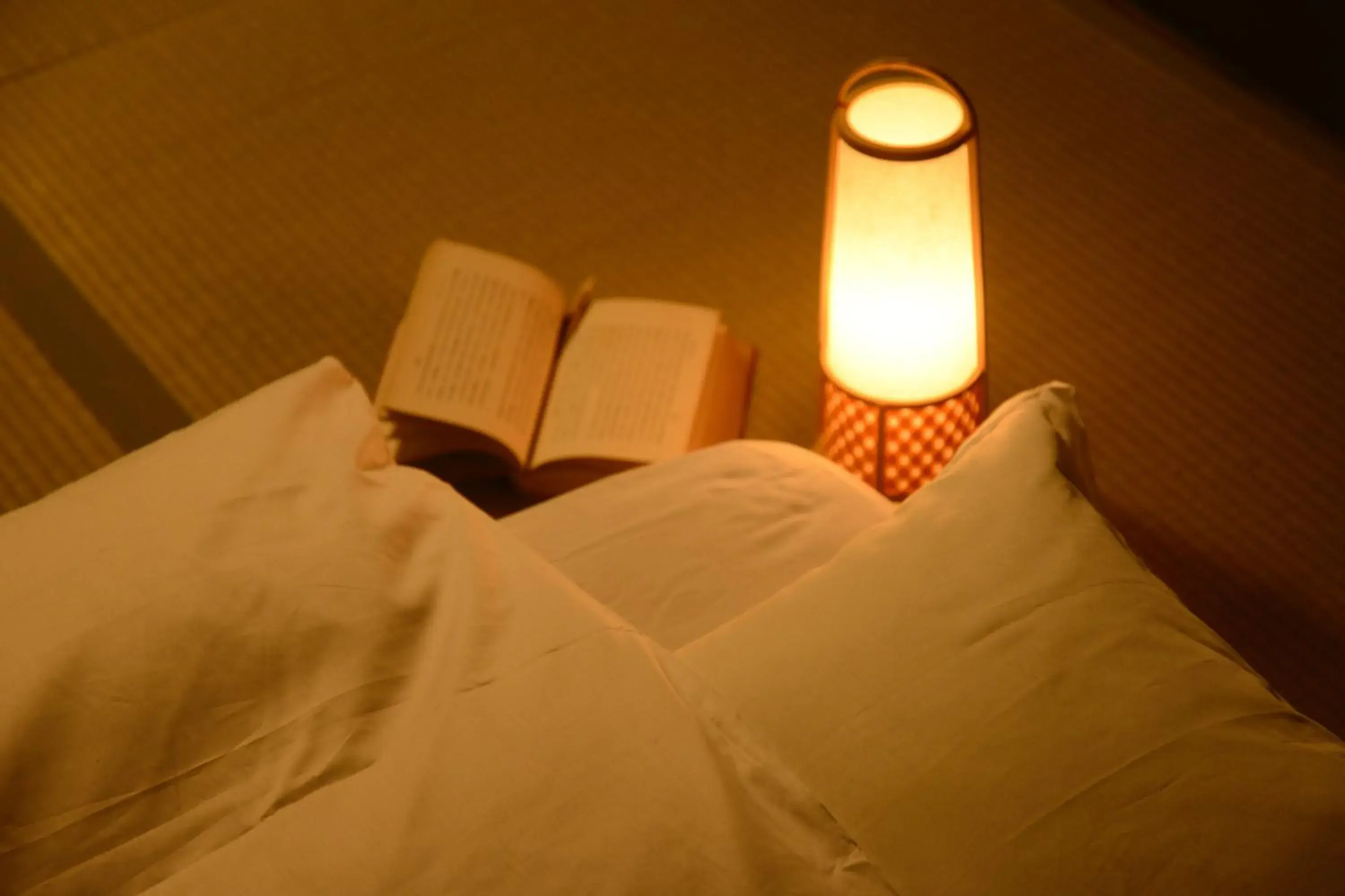 Mitsuki Kyoto Mitsuki Kyoto